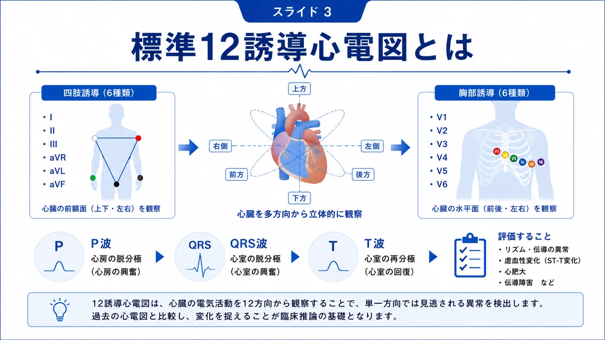健診・臨床で困らない！標準12誘導心電図の見方と判読の実践｜不整脈