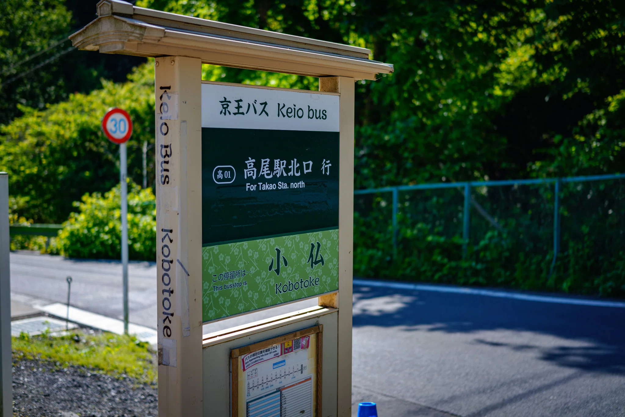 Calm, Wandering, and the Fresh Green of Okutakao.｜しみじみ山歩き
