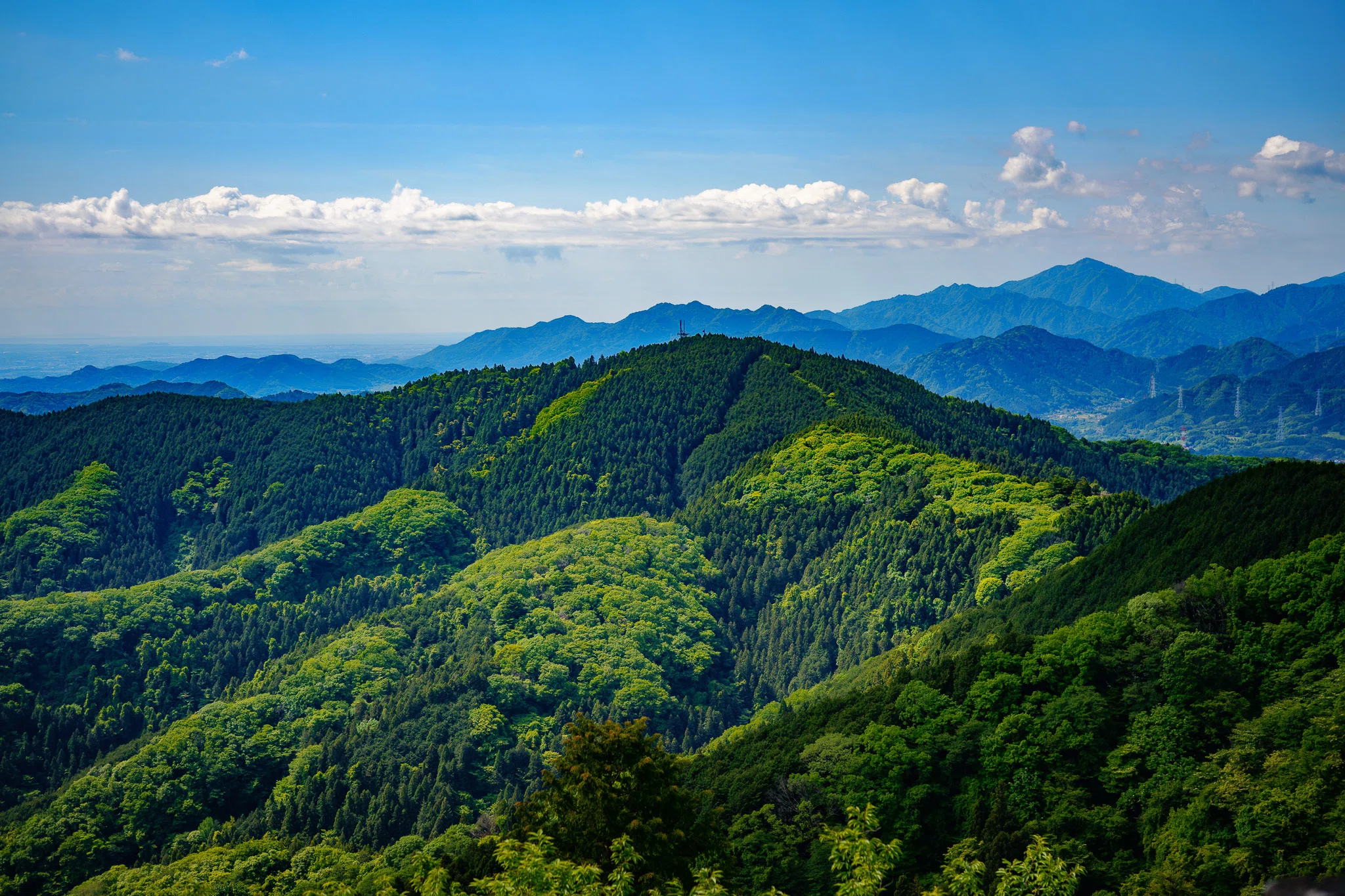 Calm, Wandering, and the Fresh Green of Okutakao.｜しみじみ山歩き