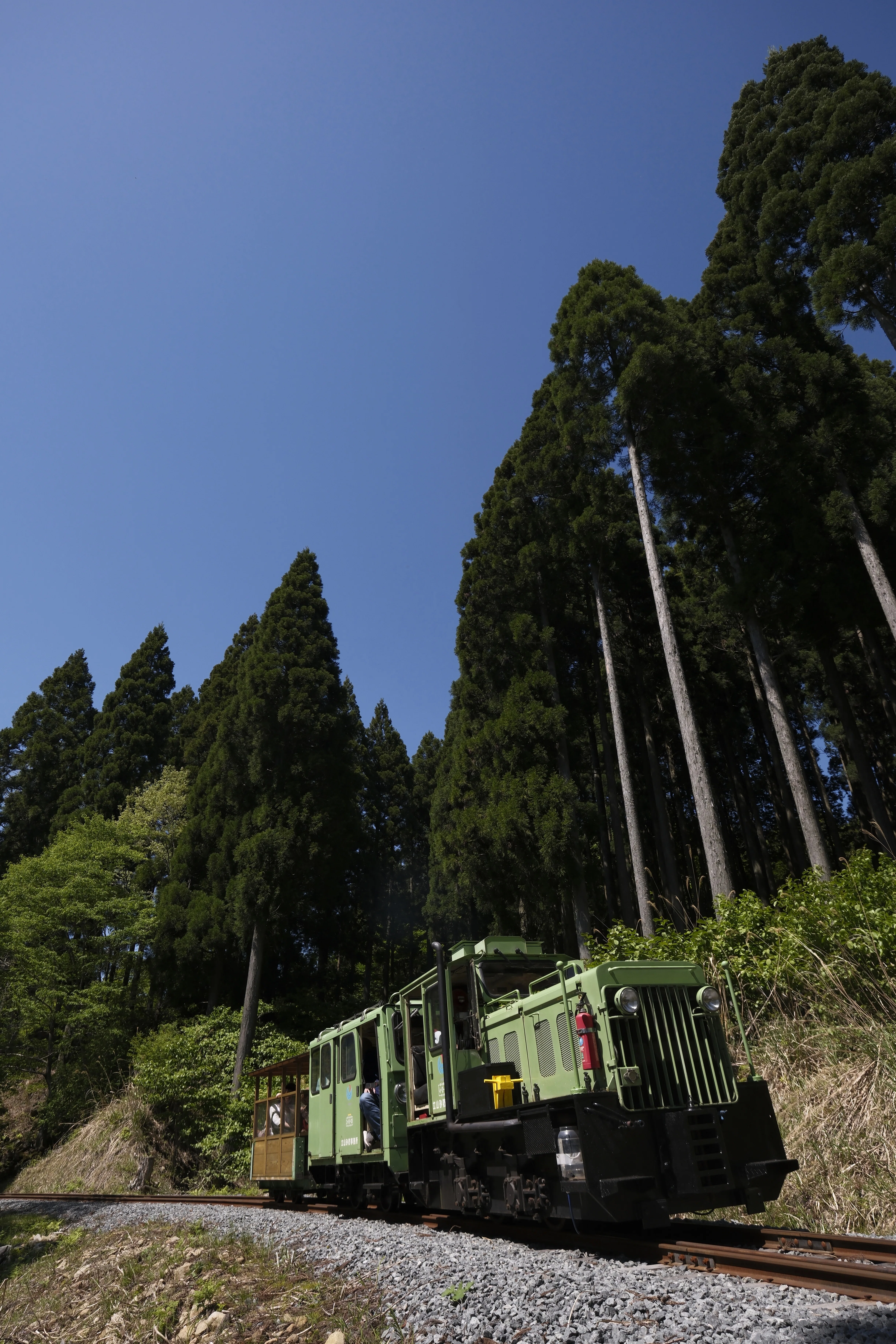 兵庫の山奥で復活した森林鉄道を見てきた｜くじらさん( ・______・ ）