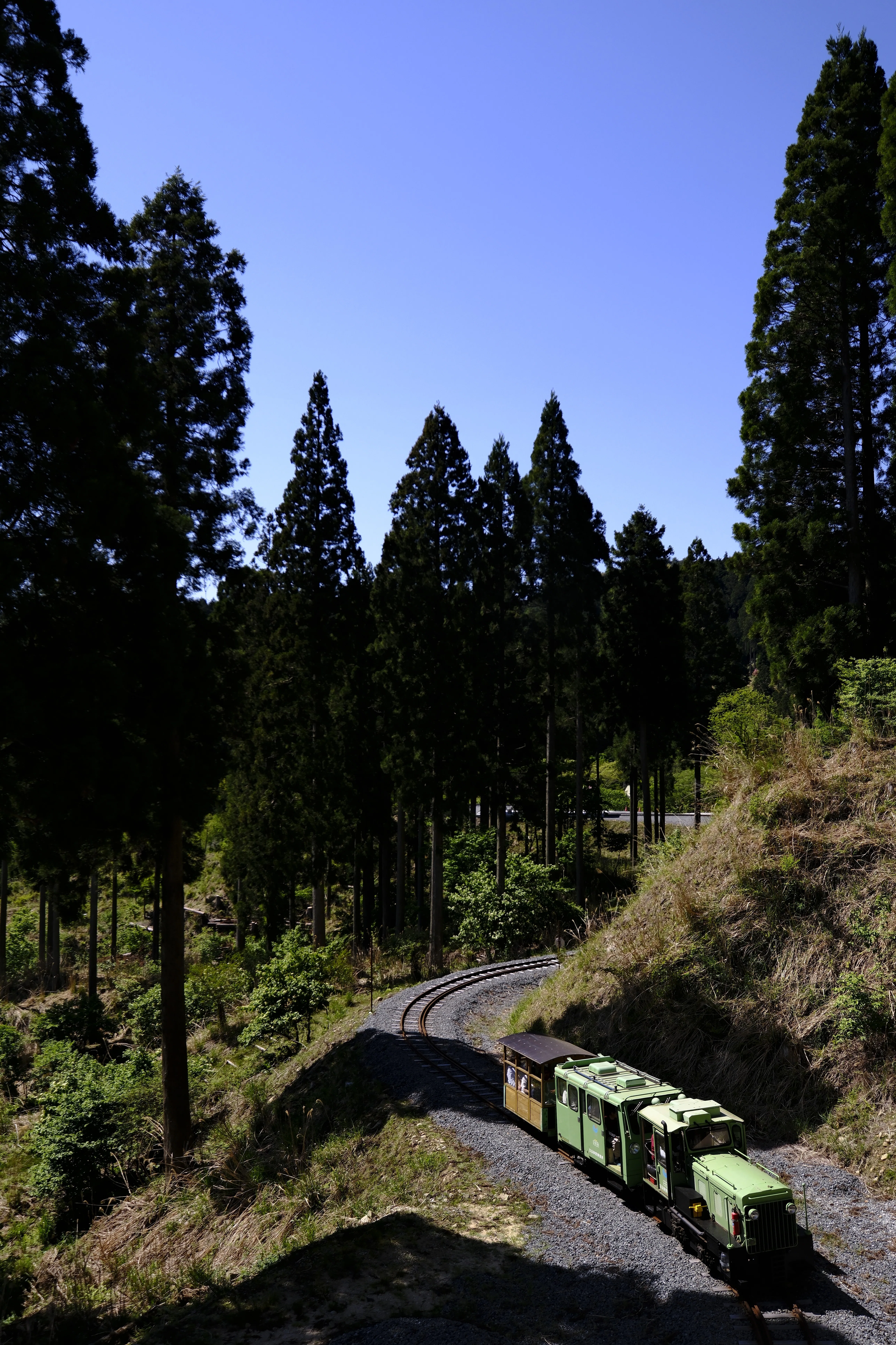 兵庫の山奥で復活した森林鉄道を見てきた｜くじらさん( ・______・ ）