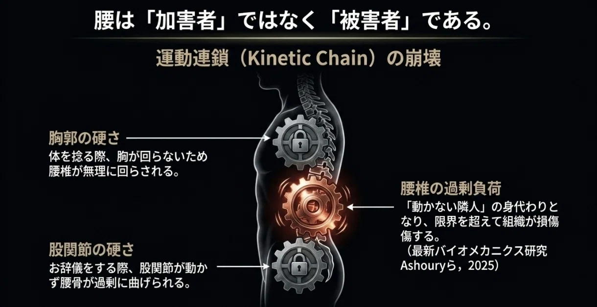 保存版】ぎっくり腰の正体とは？最新研究で判明した「魔女の一撃」の