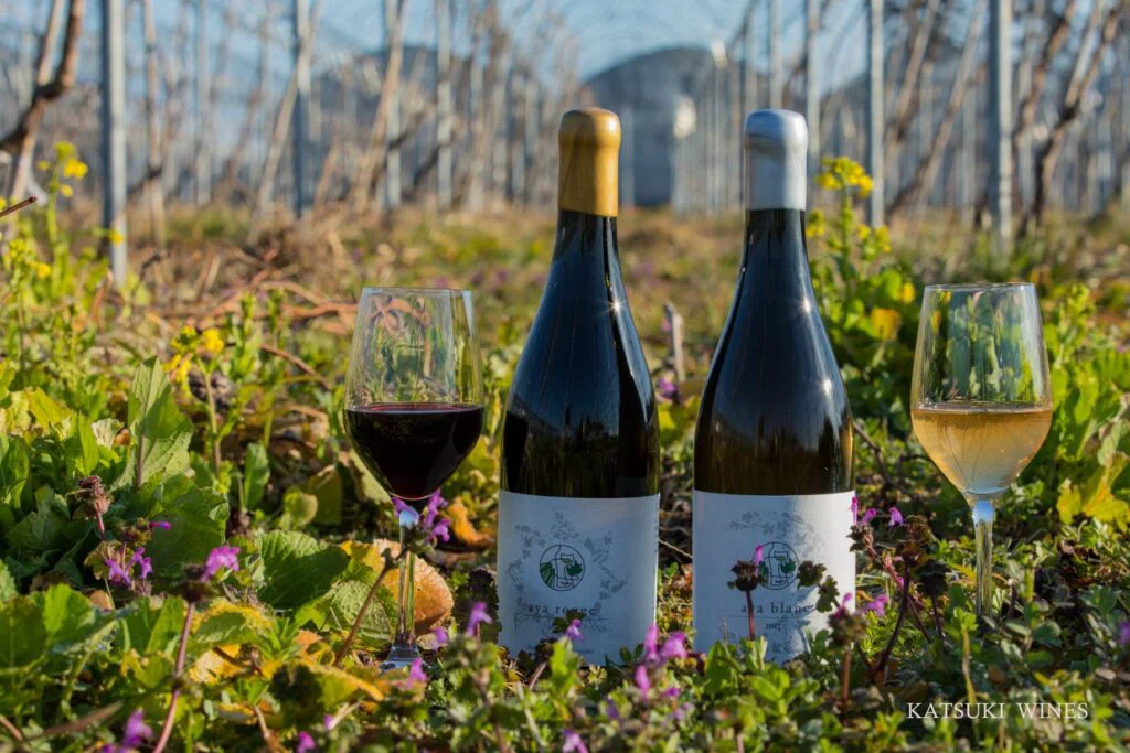 日本のナチュラルワインとは――RAW WINE 2026で聞いた「umami」と「お出汁感」の話|とだアキコ