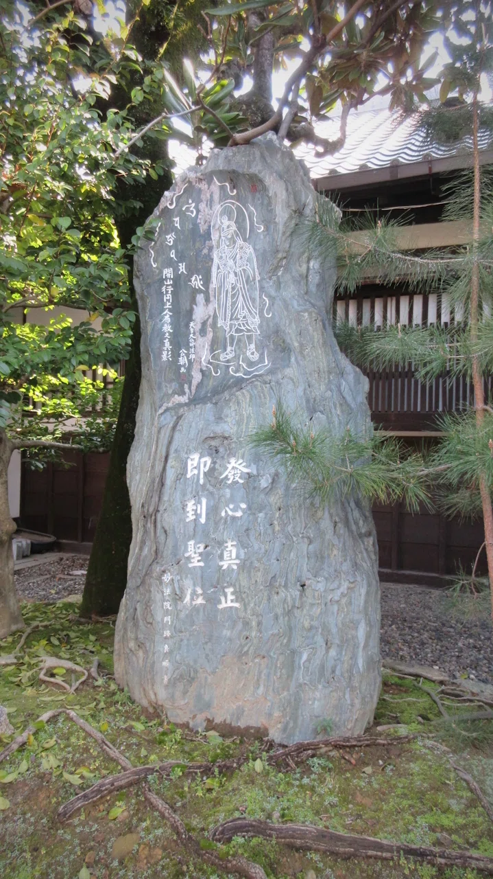 薄紅に染まる川と桜の京都旅「京都御苑へ向かう寺町通の散策路
