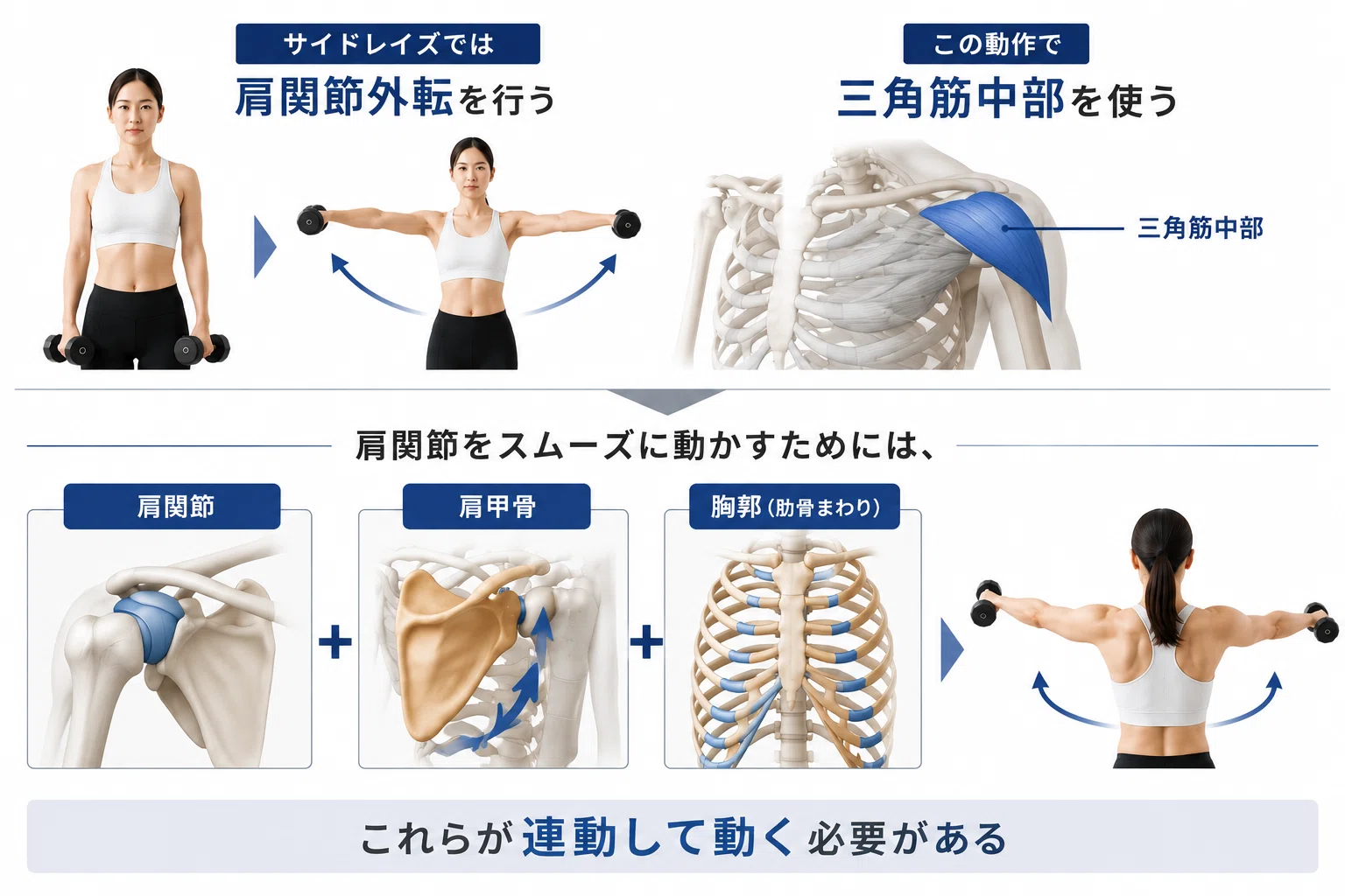 サイドレイズで肩に効かないのはなぜ？首周りに効いてしまう原因と対策