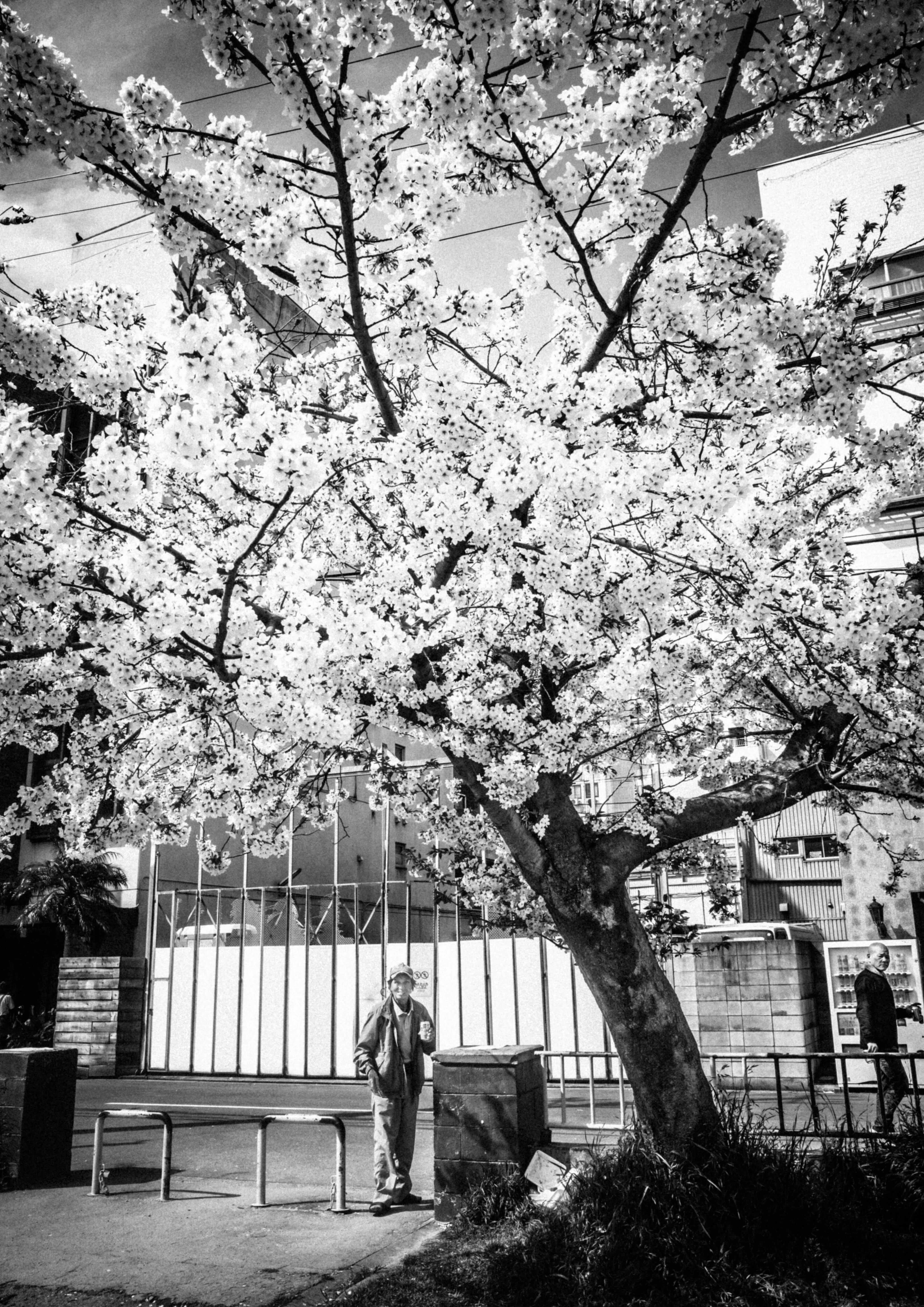 非日常 2026年4月｜松永 亨