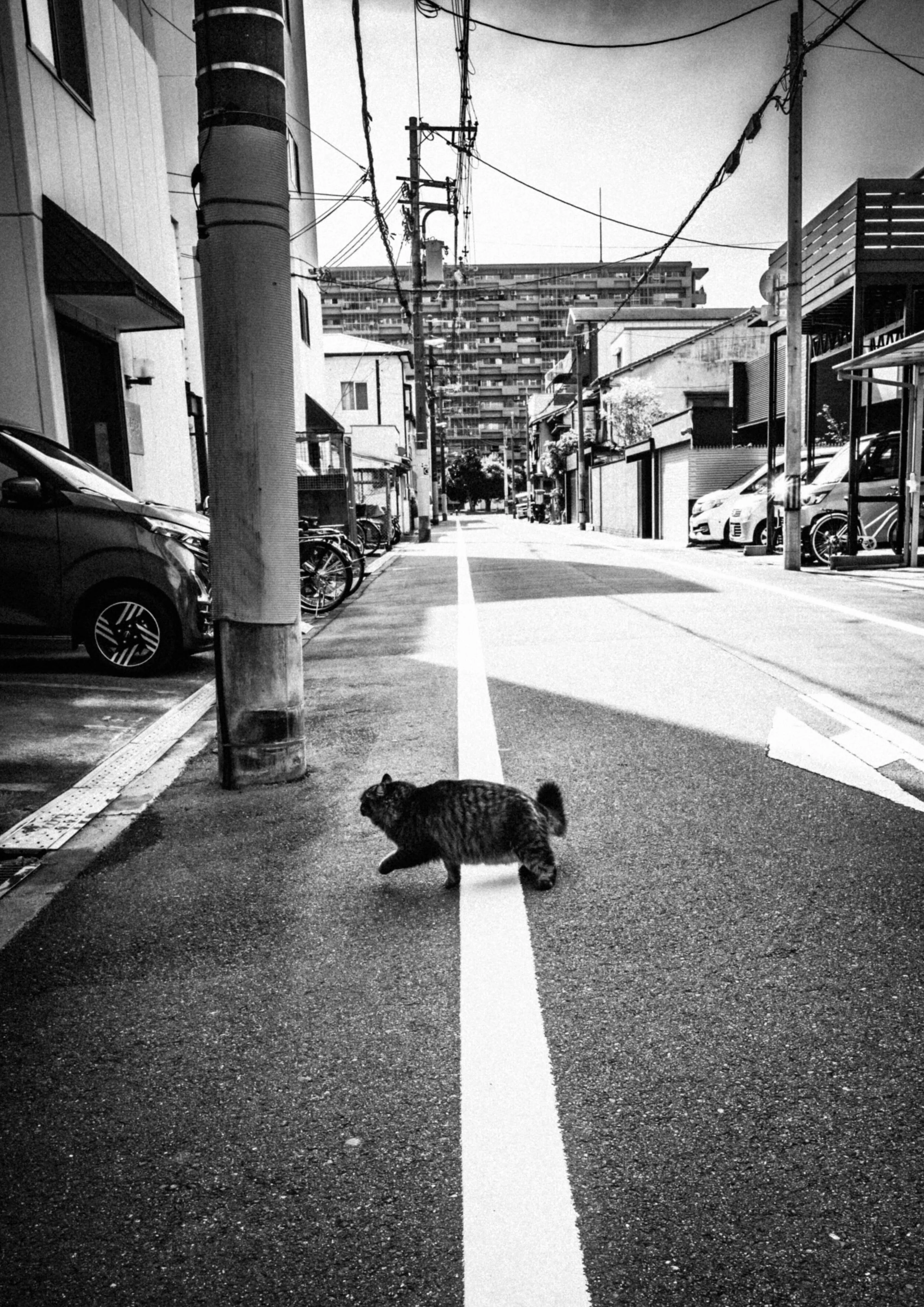 非日常 2026年4月｜松永 亨