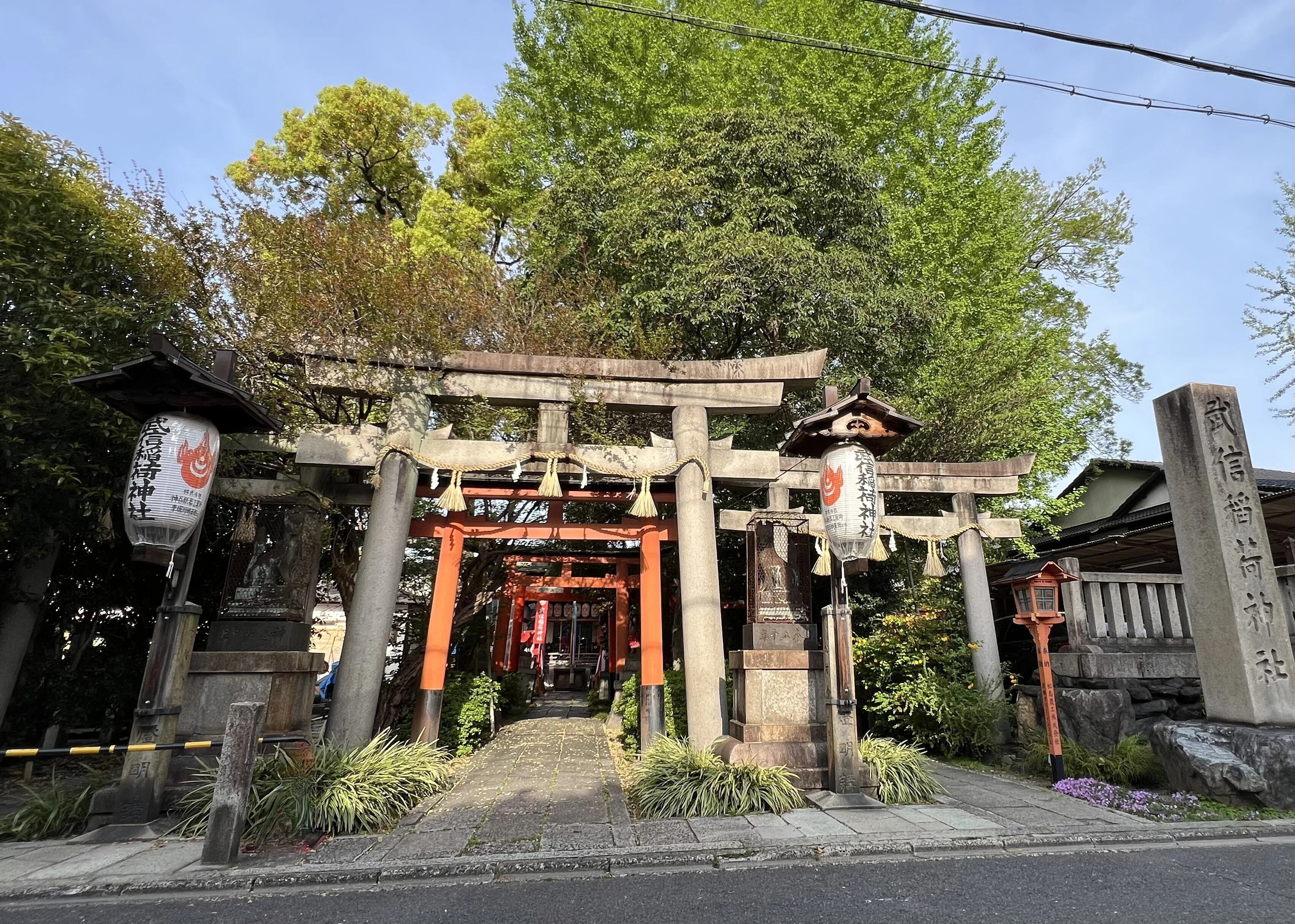 京都の遅咲き桜を探して ＃2｜Masa Kimata