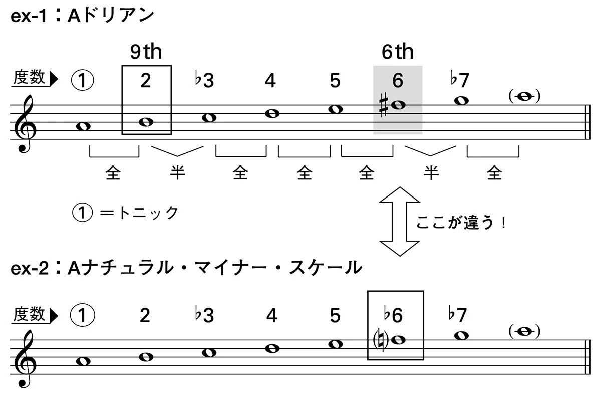 【指板崩壊】1フレットのFを捨てろ!「CAGEDシステム +2」でギターの景色が180度変わる魔法の攻略法|ディオ・ブランドー