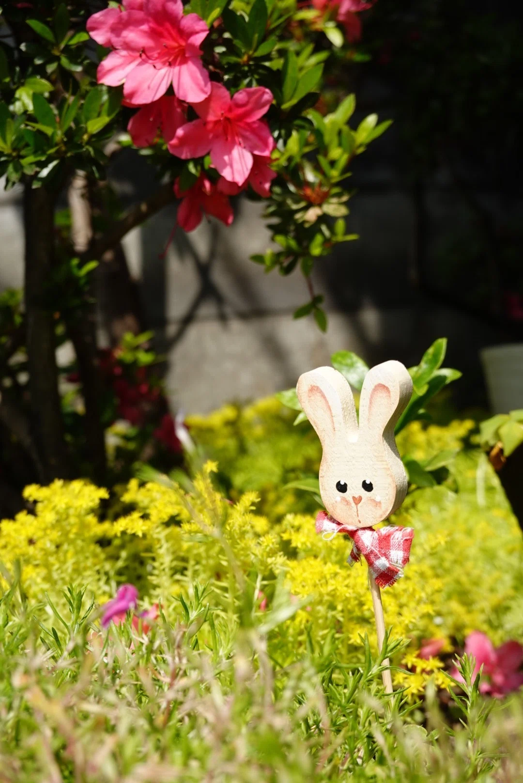 可愛いウサギさん🐇 ｜sasako