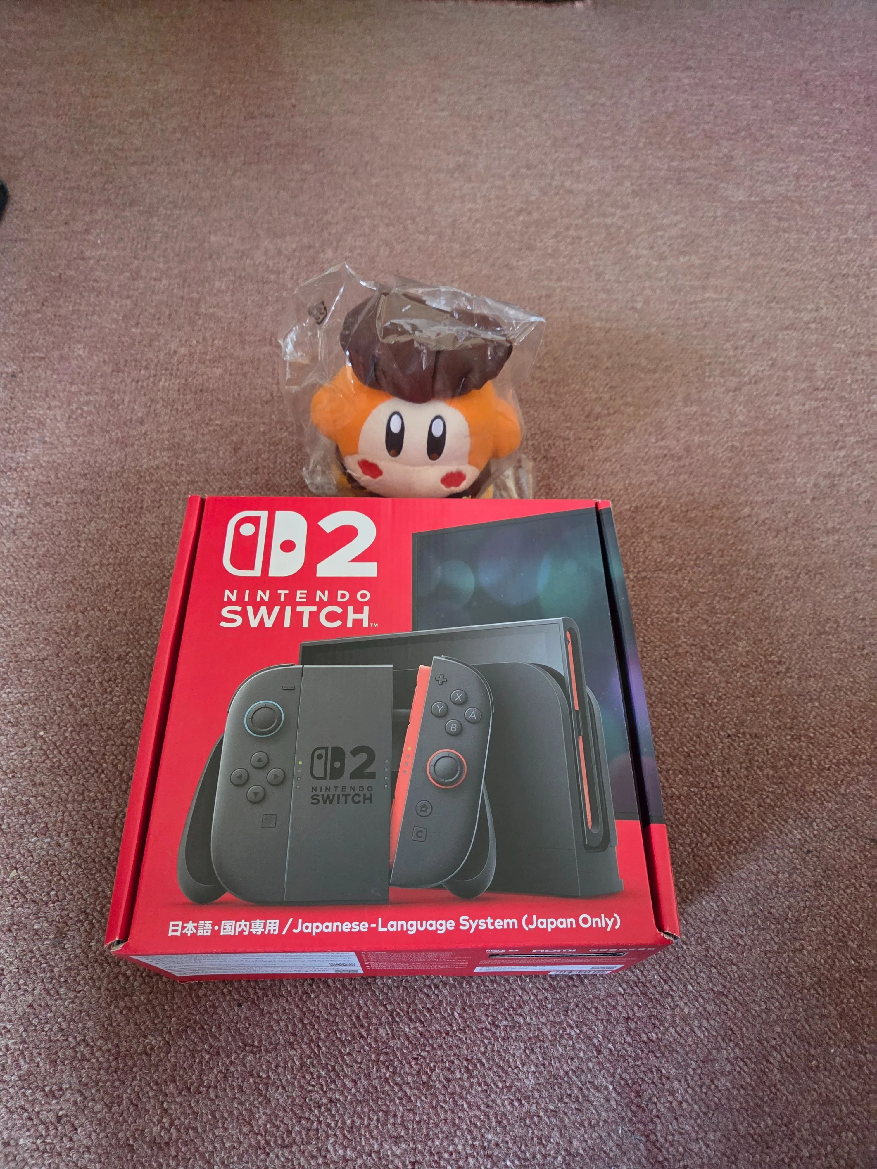 購入日記伝タフ】ジャーン ガルシア Switch2値上げ前に買っといたでぇ