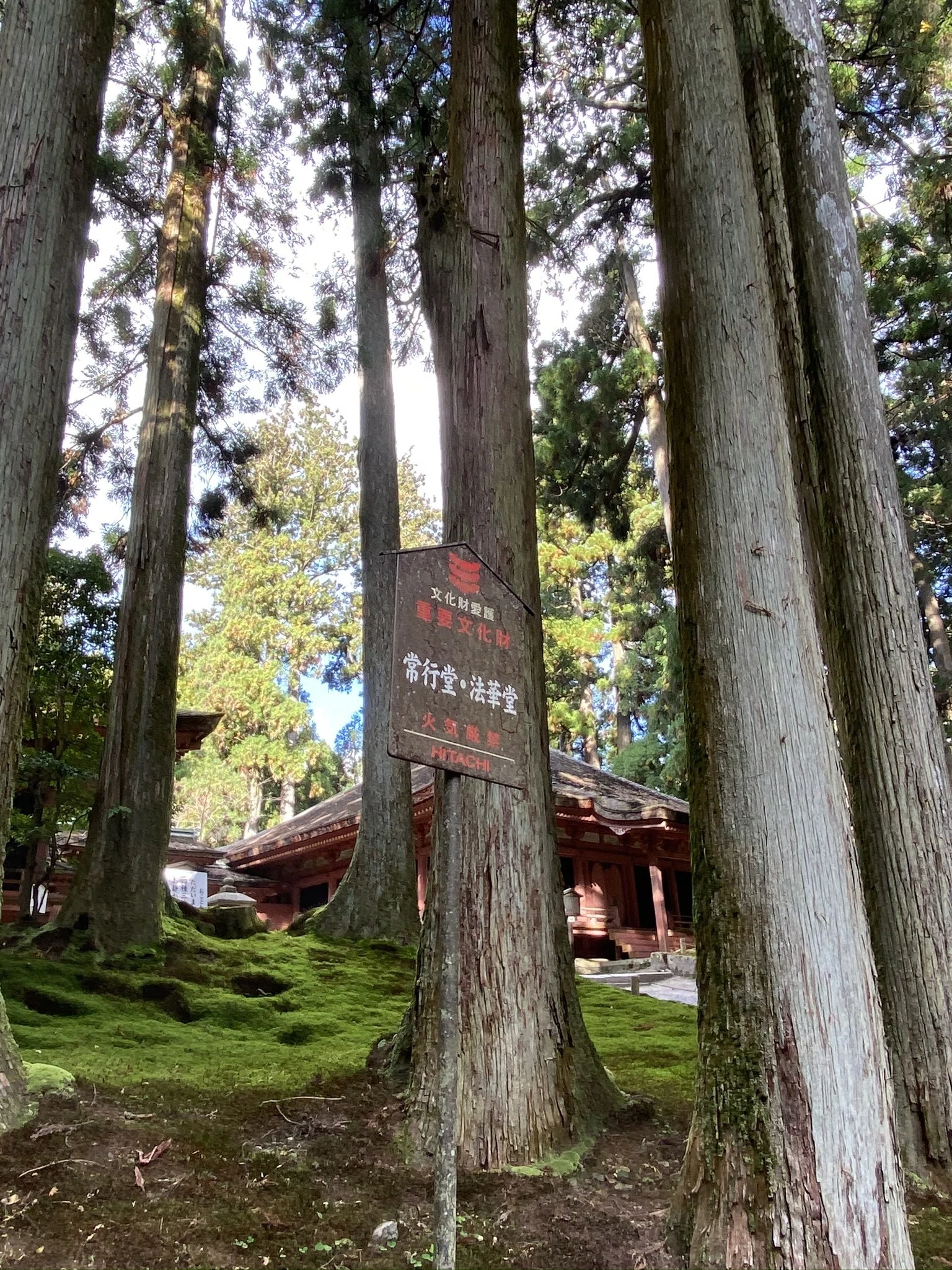 比叡山延暦寺②西塔・東塔エリア｜焼討ちを生き延びた瑠璃堂と不滅の法