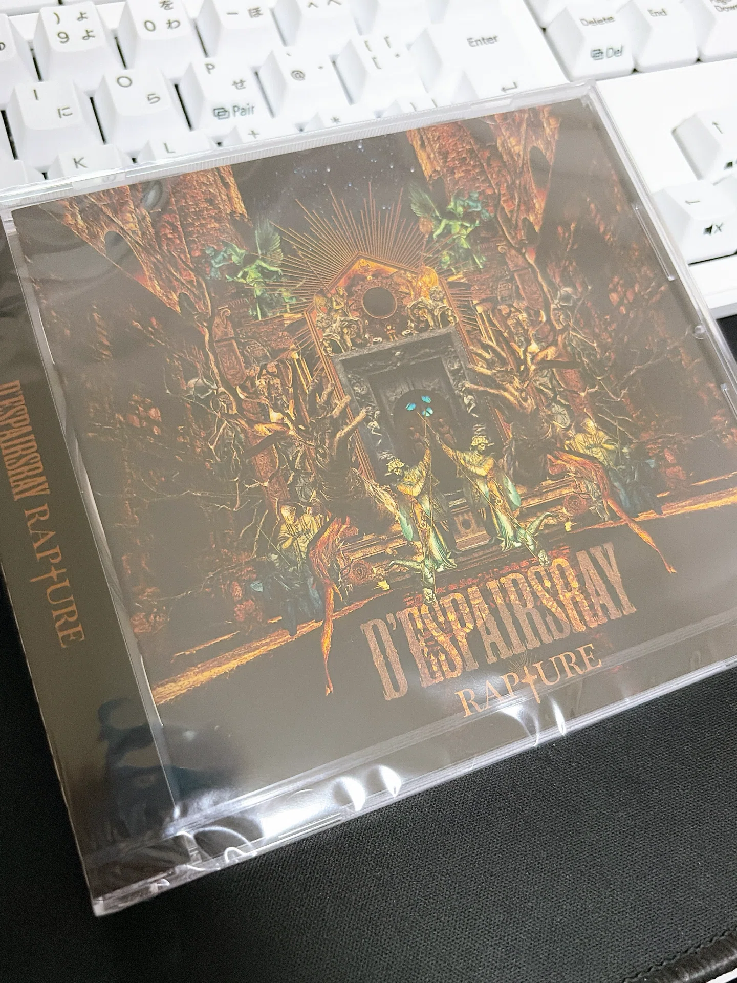 RAPTURE／D'ESPAIRSRAY｜るい仔