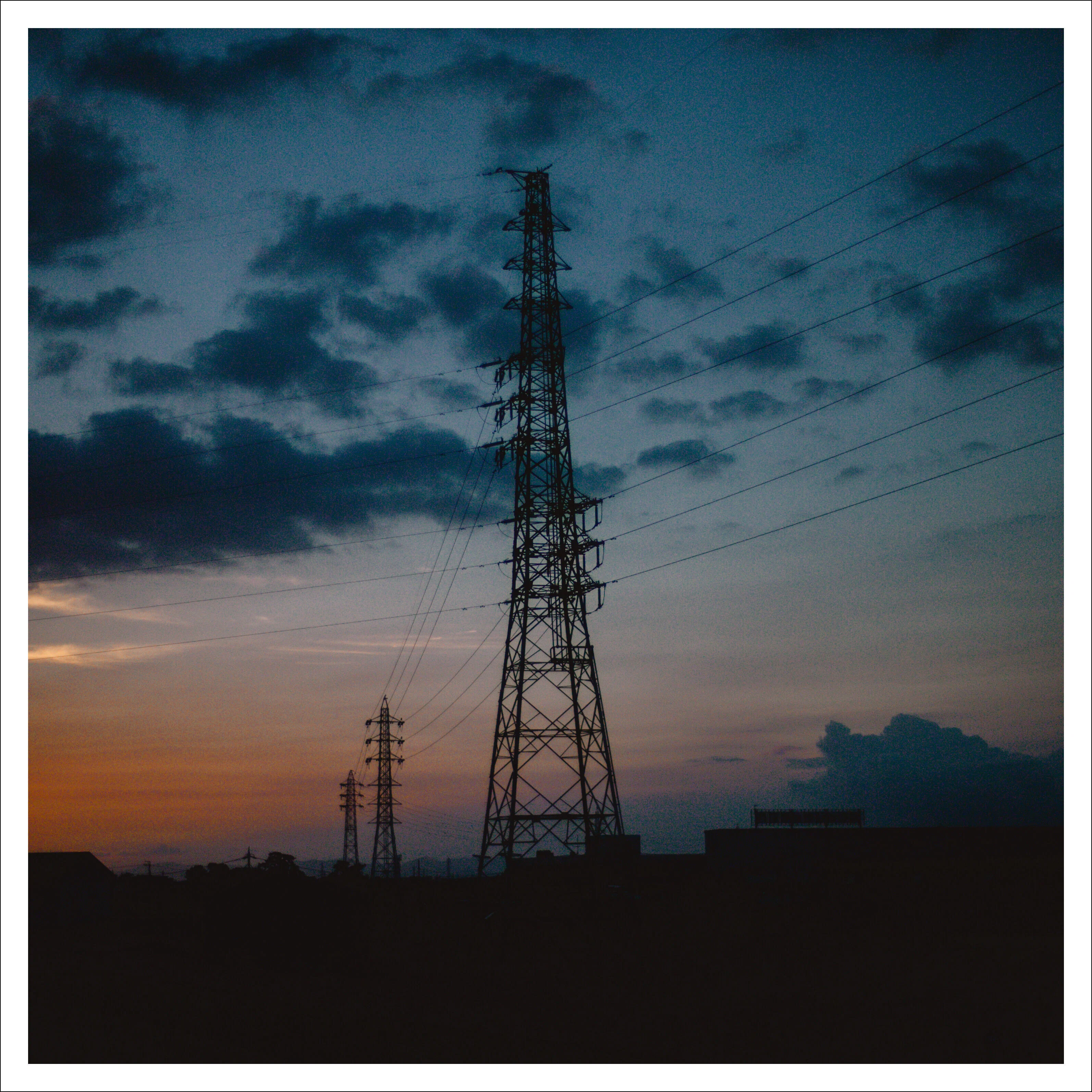 写真を撮り始めた頃｜wild_yellow