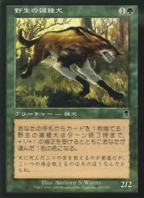 コレスキ語り：MTG「オデッセイ」のフレーバーテキスト｜ばんなそかな