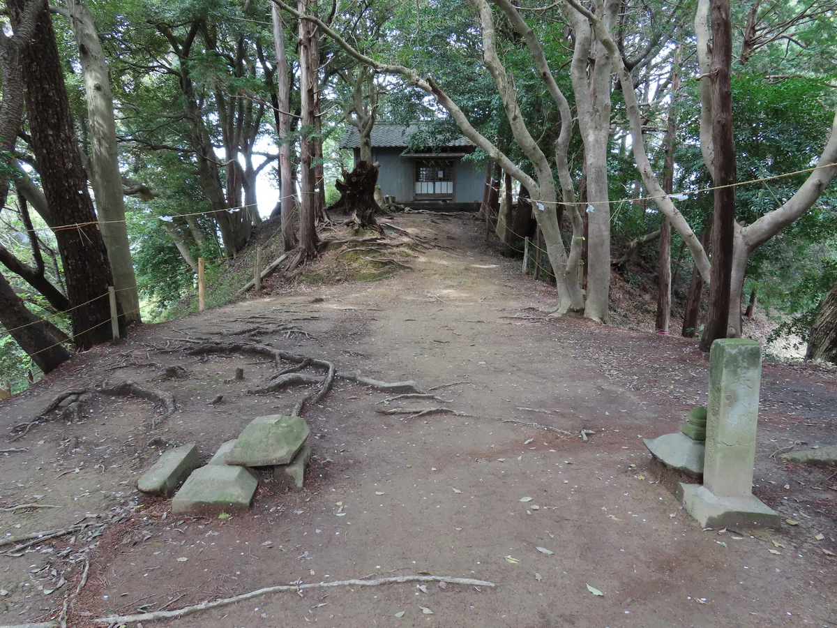 画像