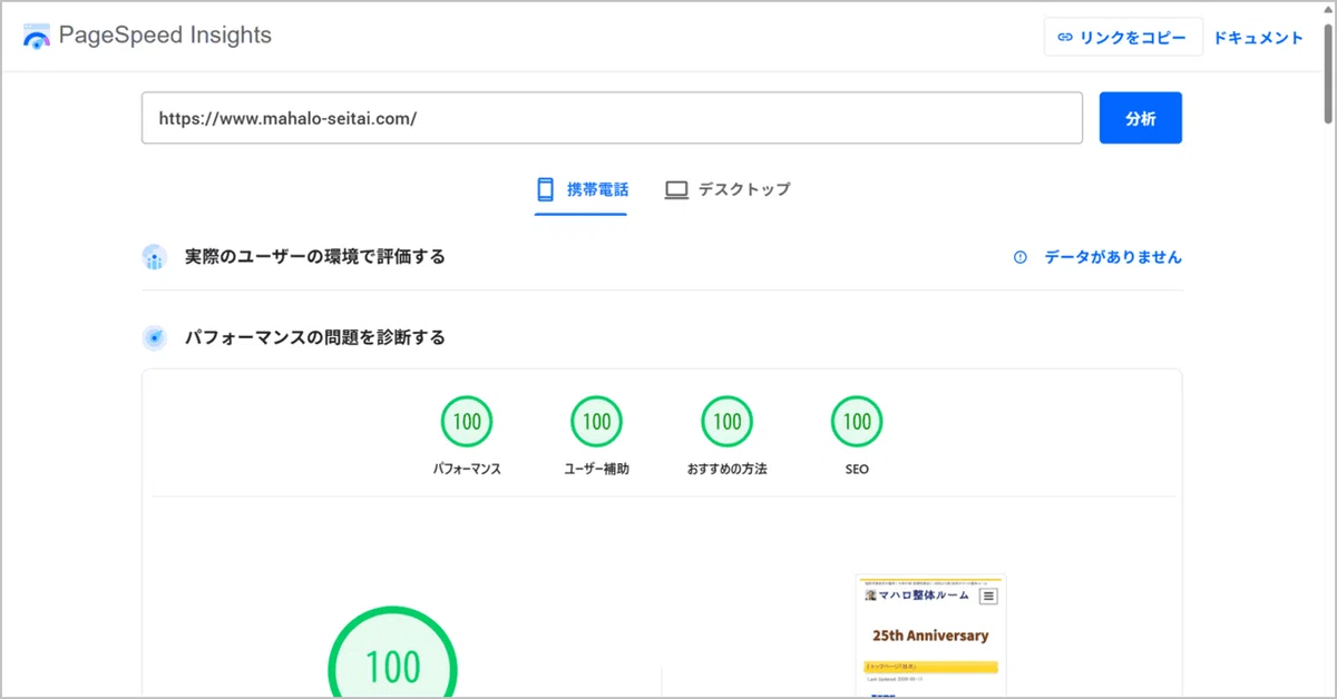 瀬戸貴史作のWebサイトがPageSpeed Insightsのモバイル分析で100点満点を獲得した画面