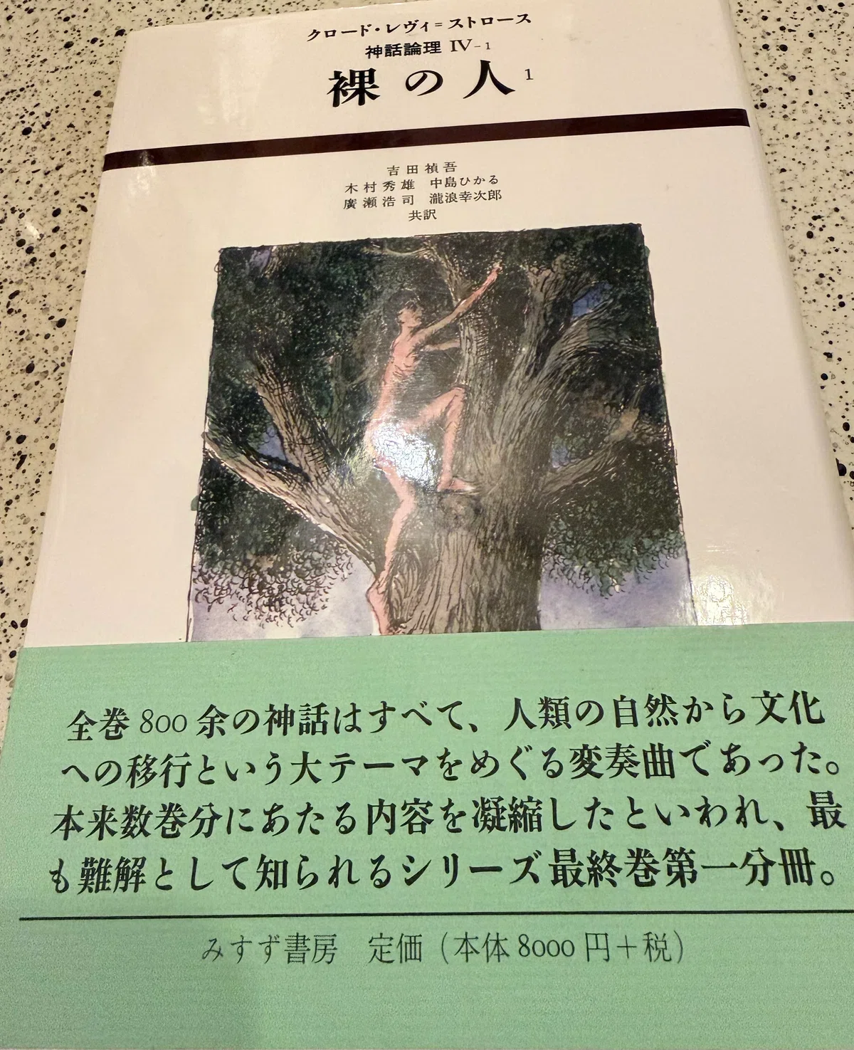 鳥の巣あさりの神話~「神話はその見かけに還元することはできない