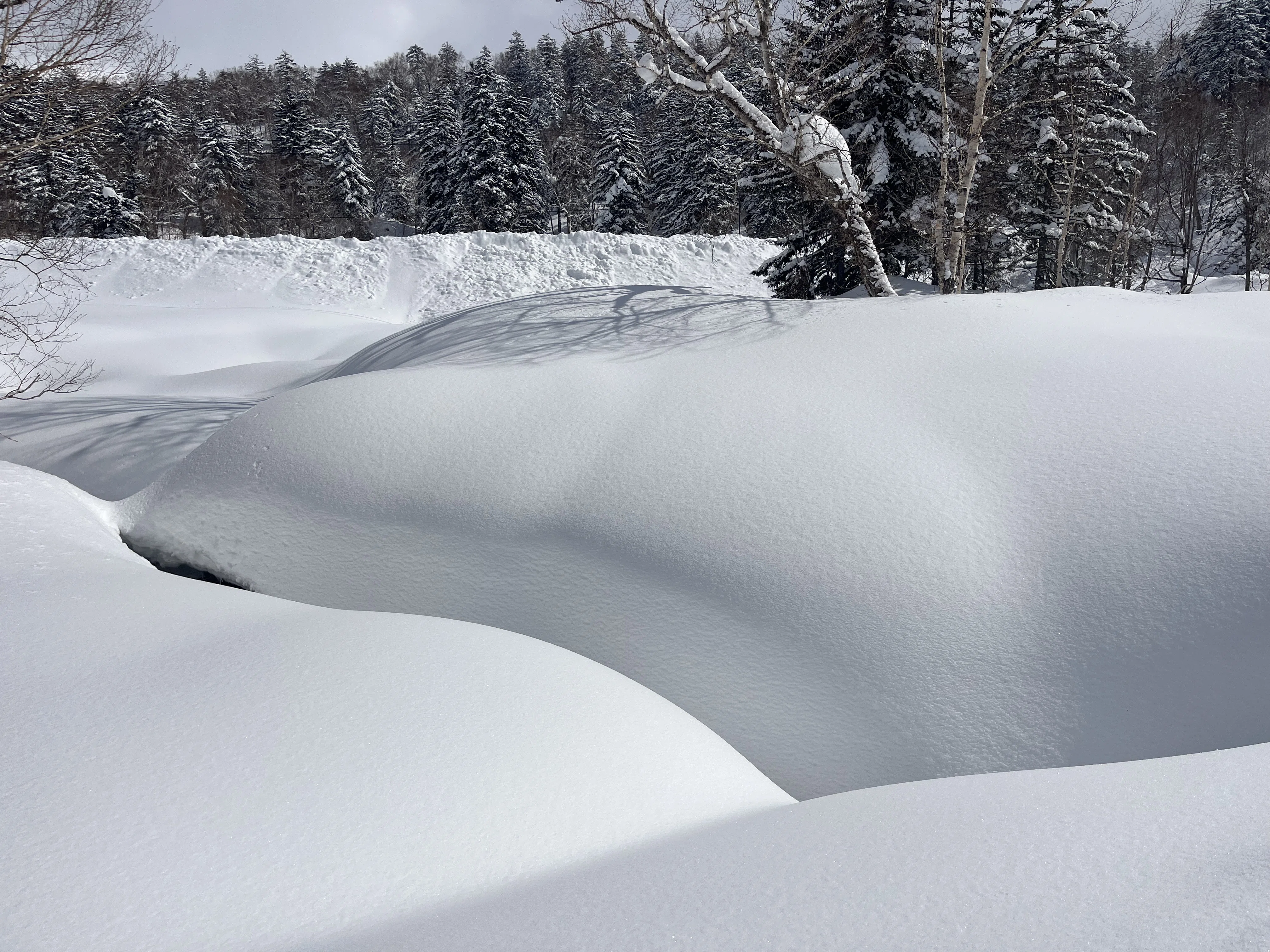 東川町｜北海道の雪は世界一 ～旭岳で外国人スキーヤーに教えられた