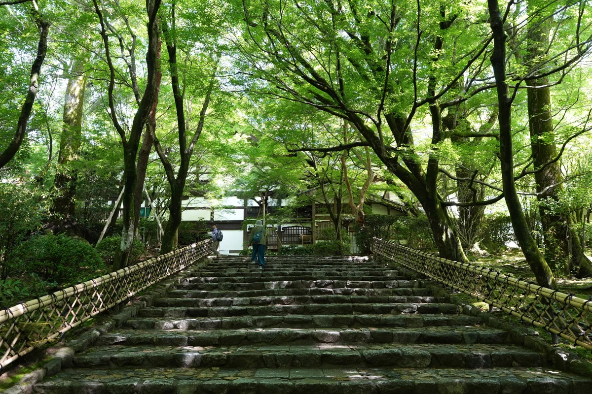 本文画像