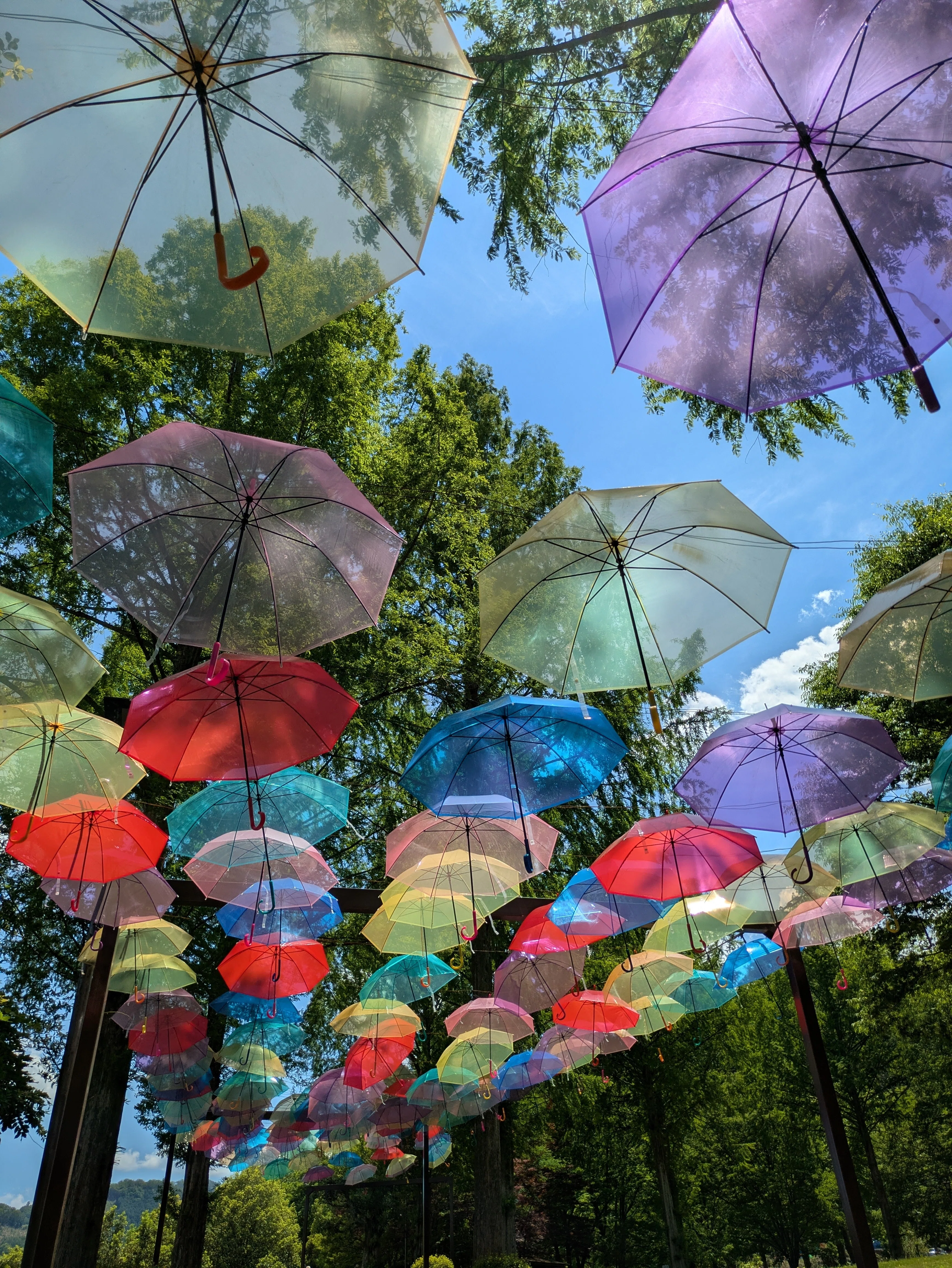 アンブレラスカイ☂️』｜Cheerfulgreen