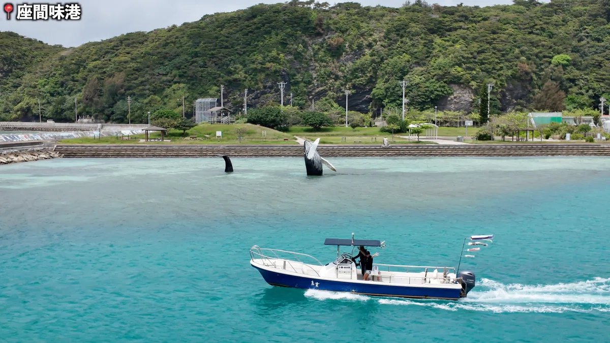 沖縄・座間味島】2泊3日モデルコース｜ケラマブルーが別格だった【保存