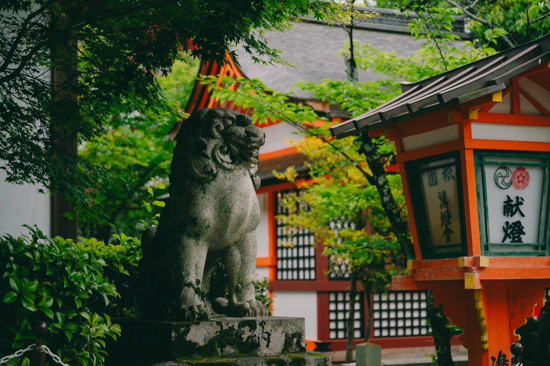 Nikon Z6ⅲと散歩2｜yugesun