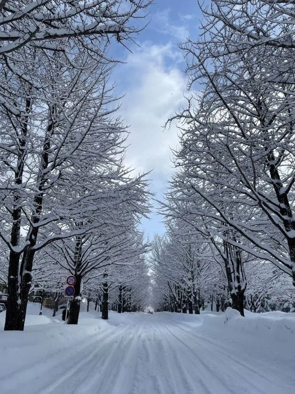 Thought of the day｜北海道へ引っ越してきました ｜connect札幌