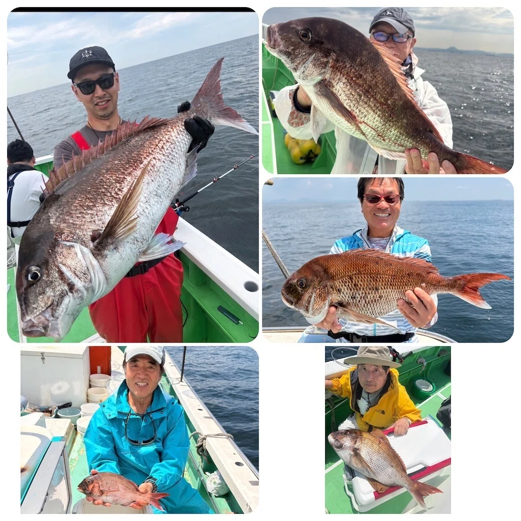 大型真鯛】 3-4キロの大型真鯛をゲット！他にイサキ、メジナも釣れ