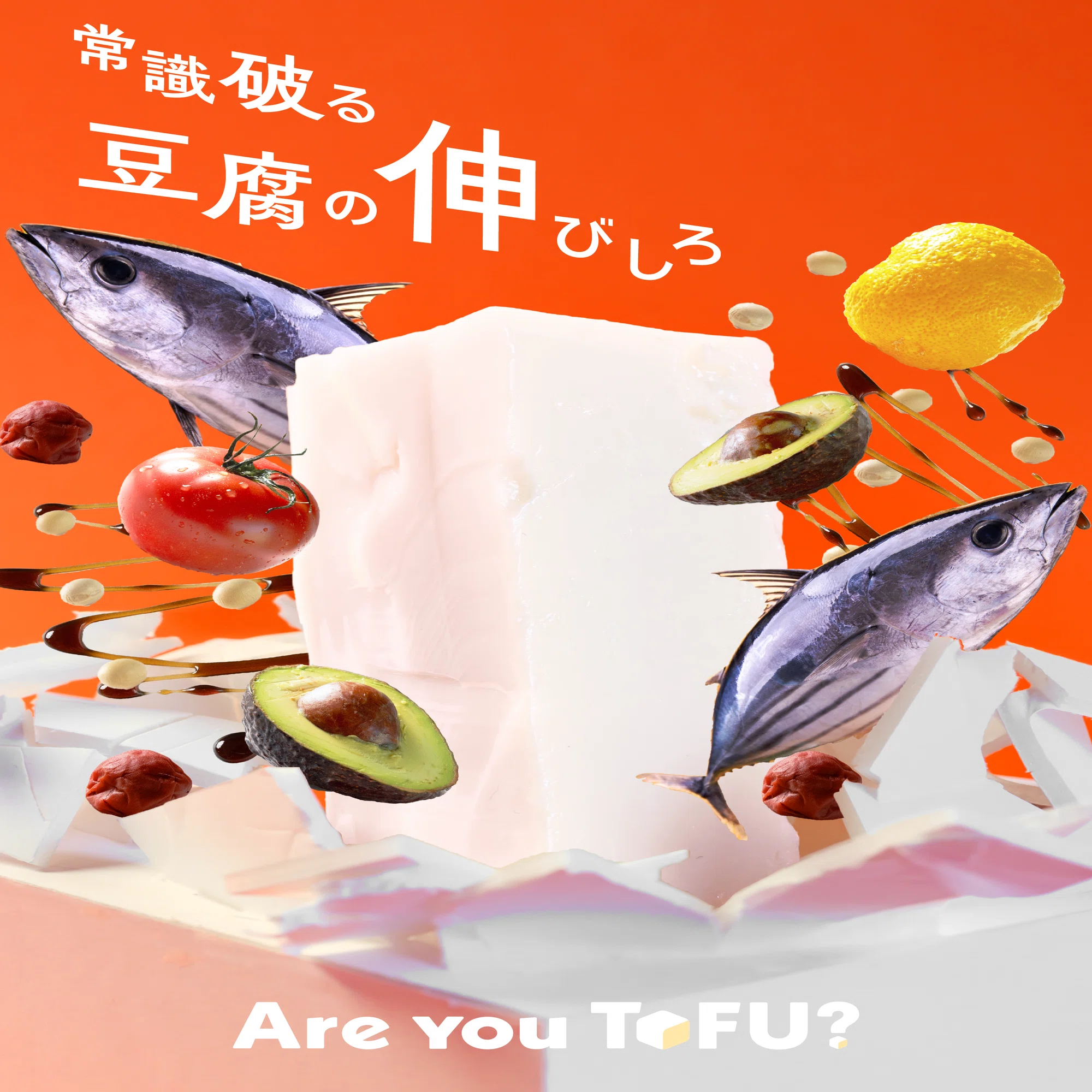 【5月1日中までお取り置き】豆腐＊衣装整理中ページ デザインサークルが、常識破りの豆腐を売ります【2026五月祭