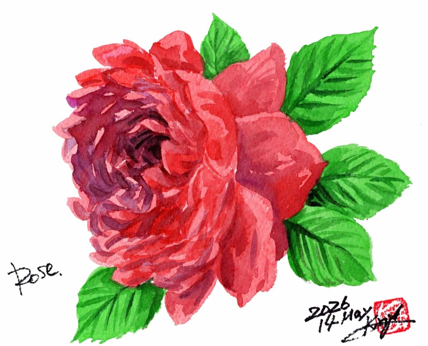 今夜はこんな薔薇です。｜kinta65