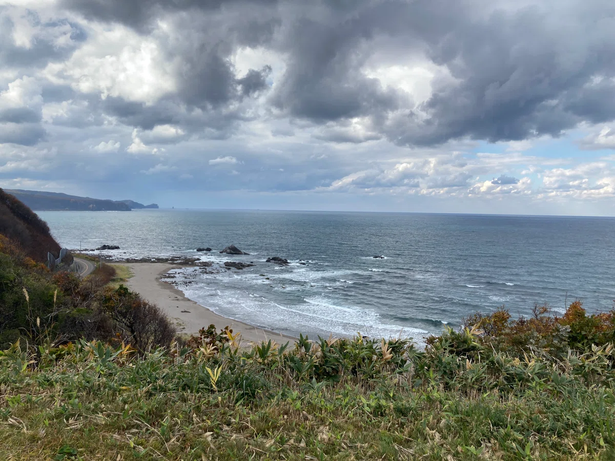 海