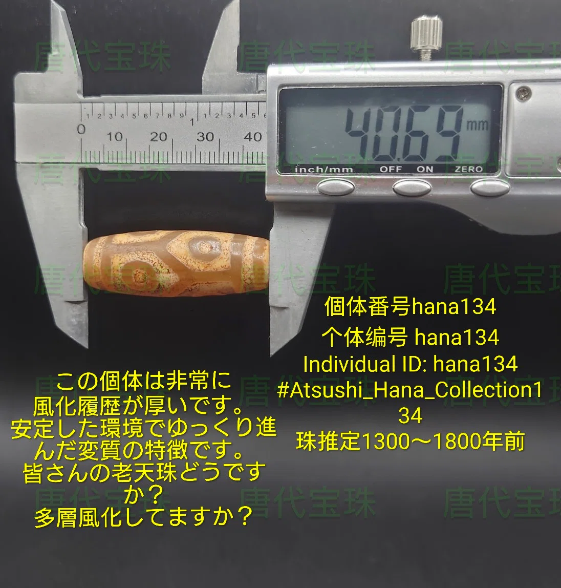 個体番号hana134 个体编号 hana134 ｜唐代宝珠 中原伝世 研究所