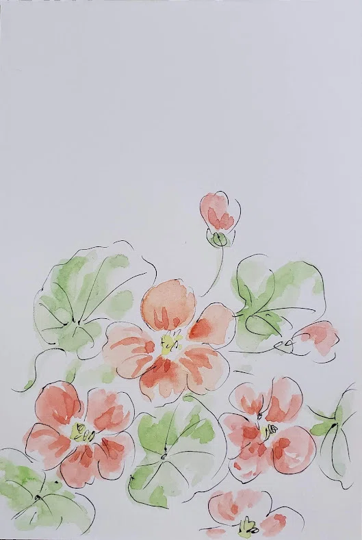 5月7日】お花🌸ナスタチウム（金蓮花）｜こうこ
