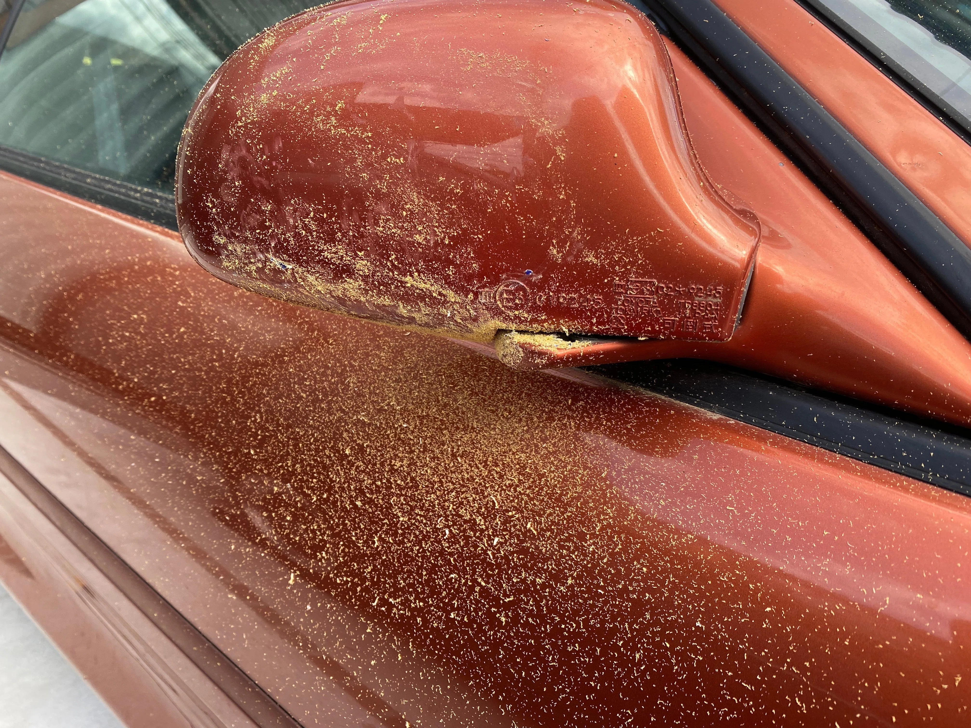Reviving the MR2 SW20 (Removing stickers, interior cleaning