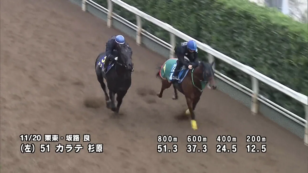 2026ヴィクトリアマイル ポスターのサイン解読｜日本サイン競馬会