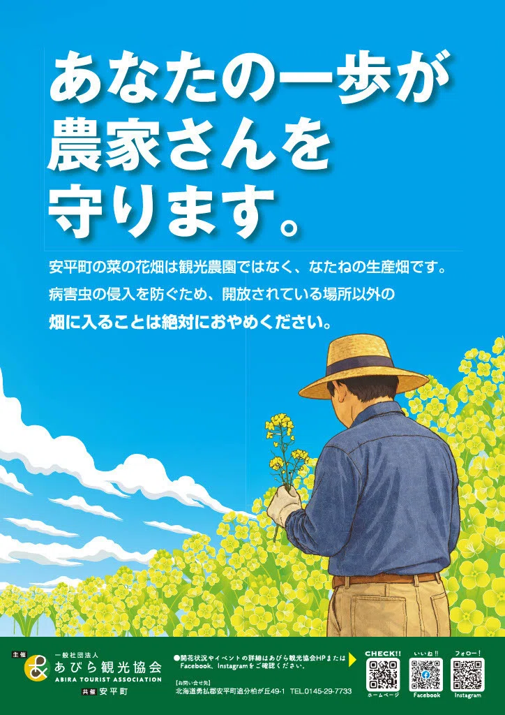 菜の花さんぽ2026始まります】今朝の圃場の様子です｜COFFEE STAND SIESTE
