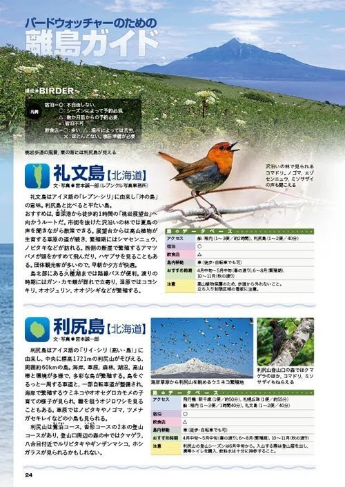 BIRDER6月号の見どころ｜ブンイチ（文一総合出版）