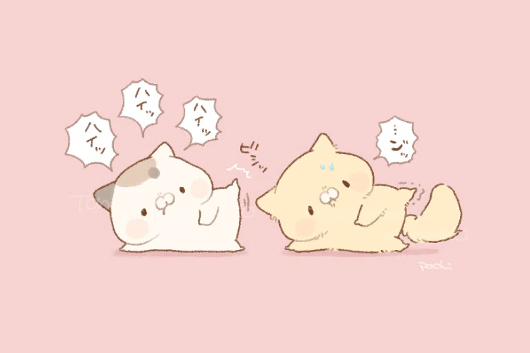 なかよしカップルにゃんこ『となりのにゃんこ』の魅力、発掘しちゃい