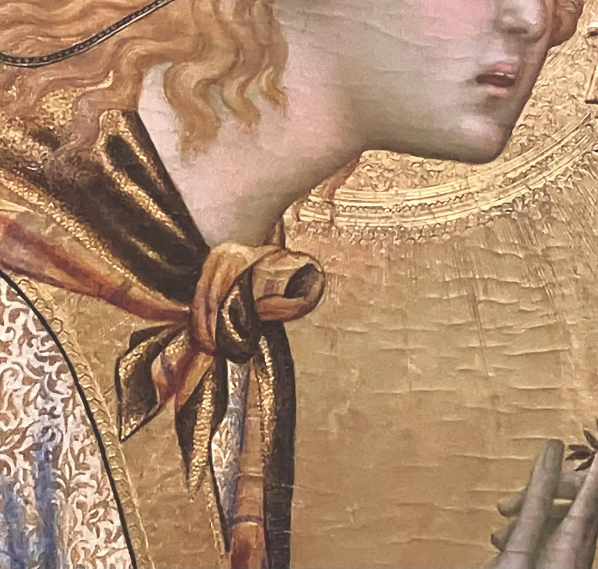 80歳夫婦イタリア絵画旅行記 (40)｜Caita911
