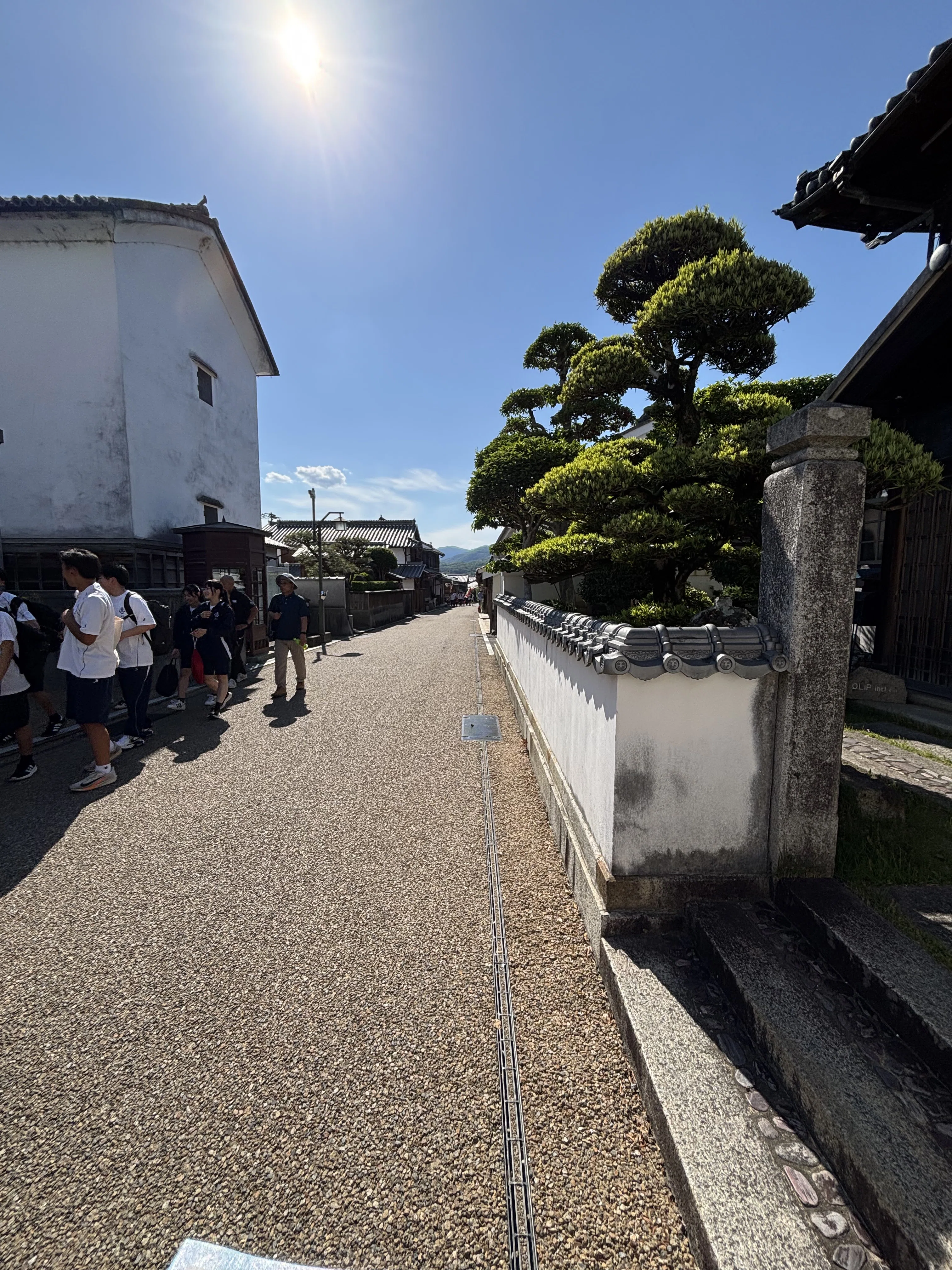 徳島日帰りドライブ旅｜祖谷・うだつの町並み・神山・万代中央ふ頭