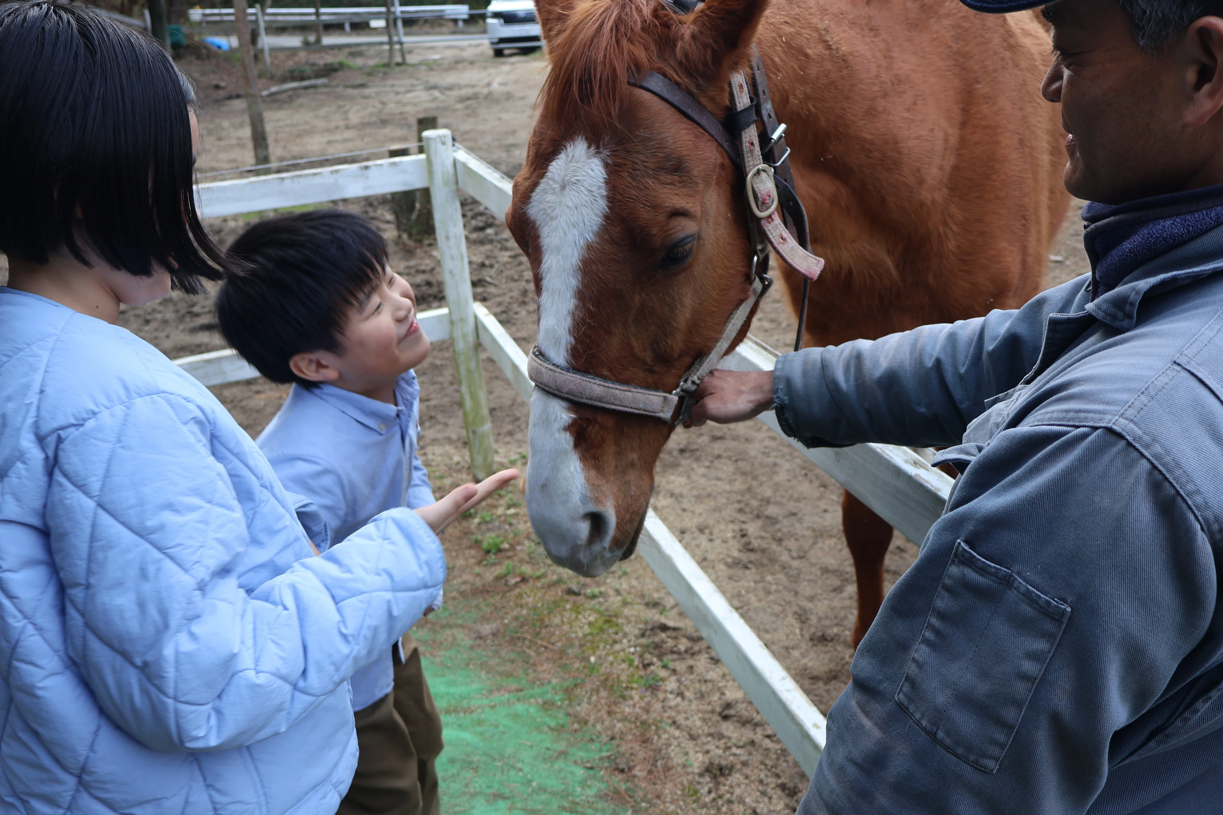 癒しの乗馬体験！森の中の「橋立の馬屋」｜宮津市広報