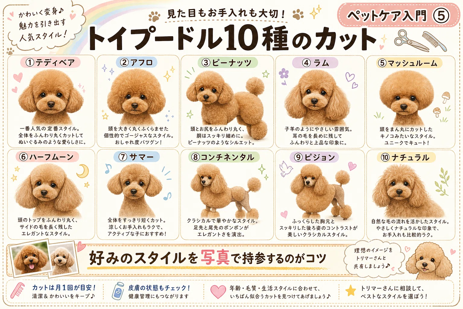 完全版】犬種別カットスタイル図鑑：トイプー10種・マルチーズ5種