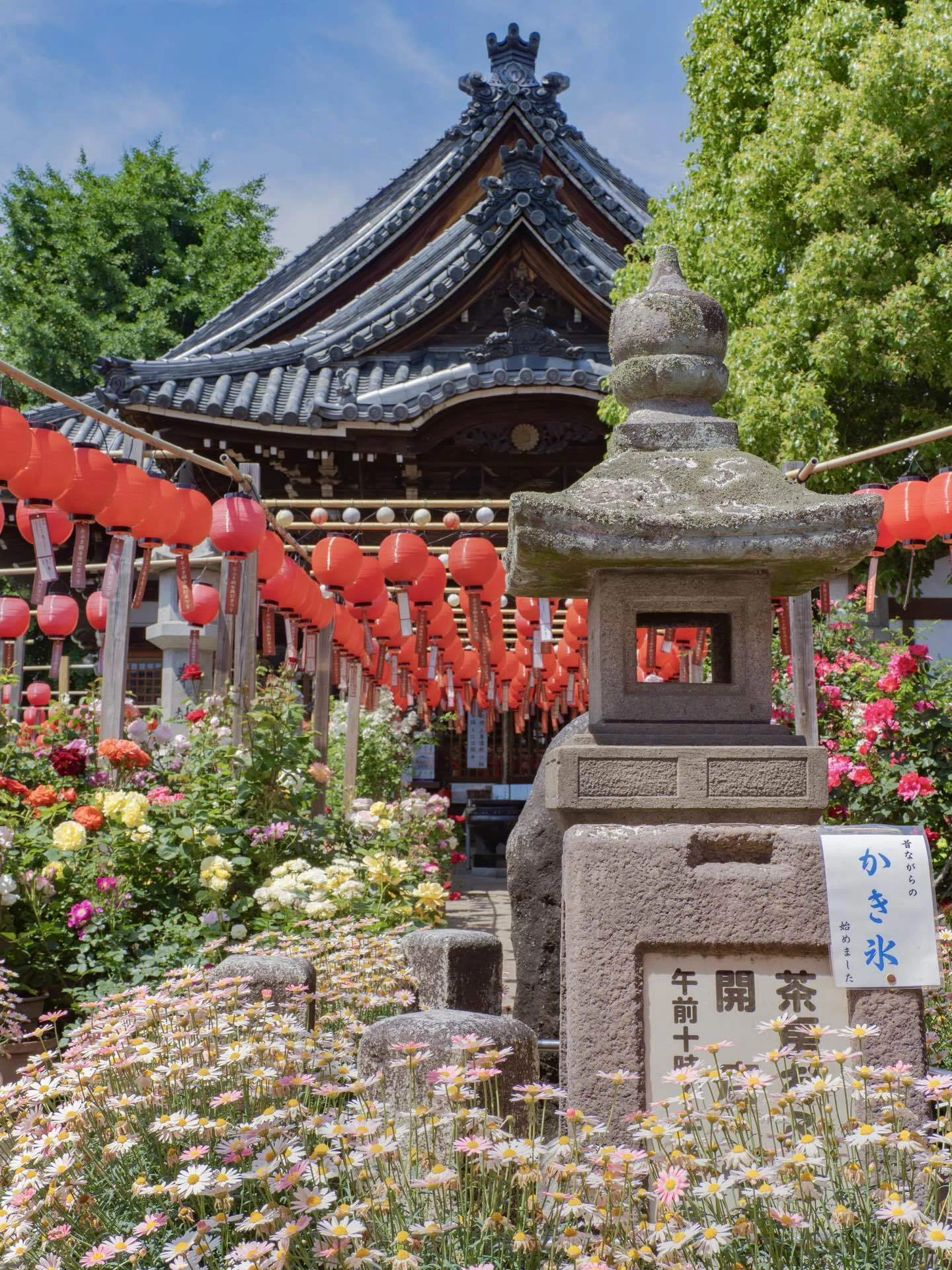 和洋折衷のバラ園、おふさ観音｜KATSUMI