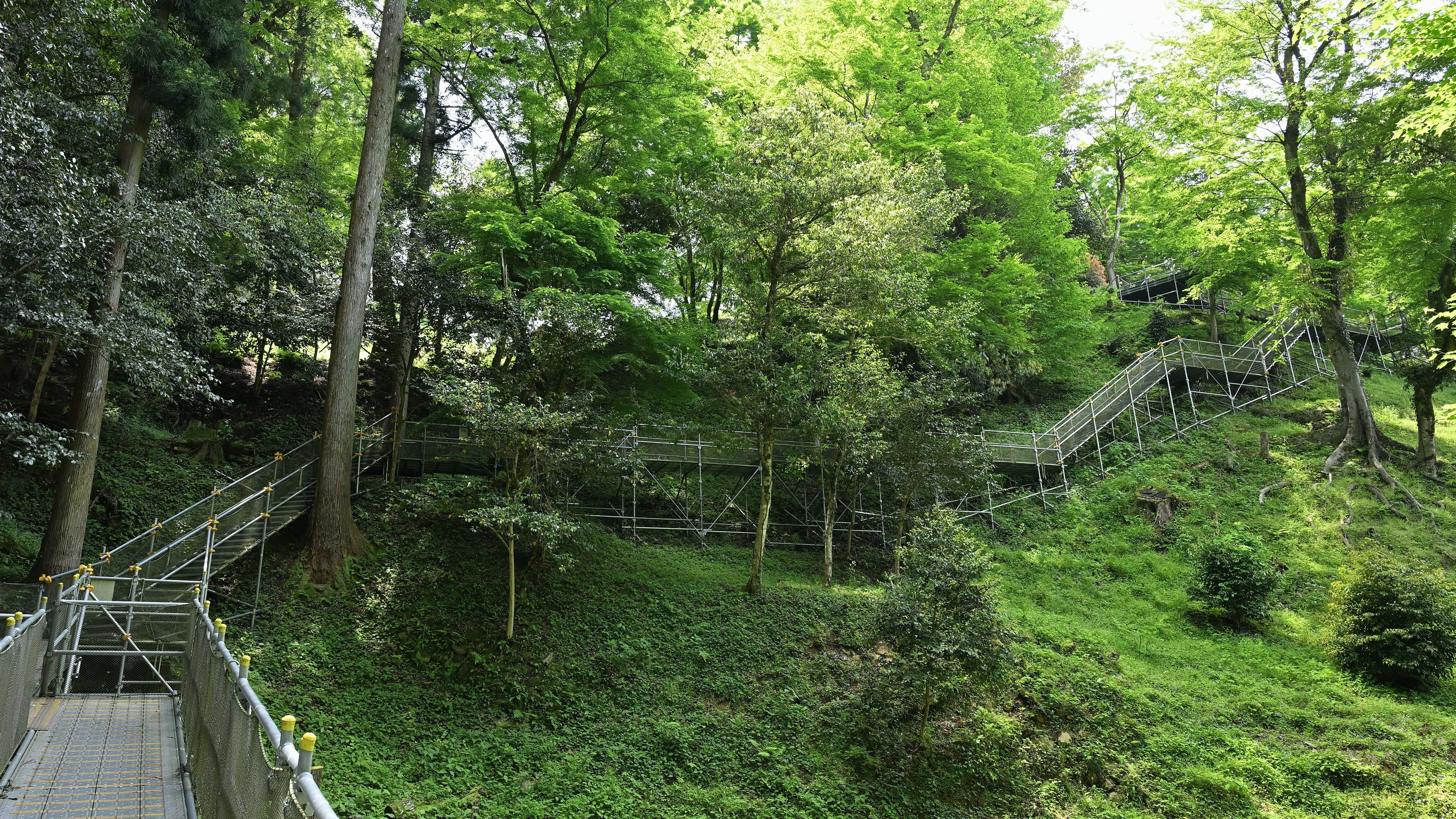 津和野城跡｜新緑が彩る石垣群と赤瓦の町並みの眺望｜2026GW 石見横断
