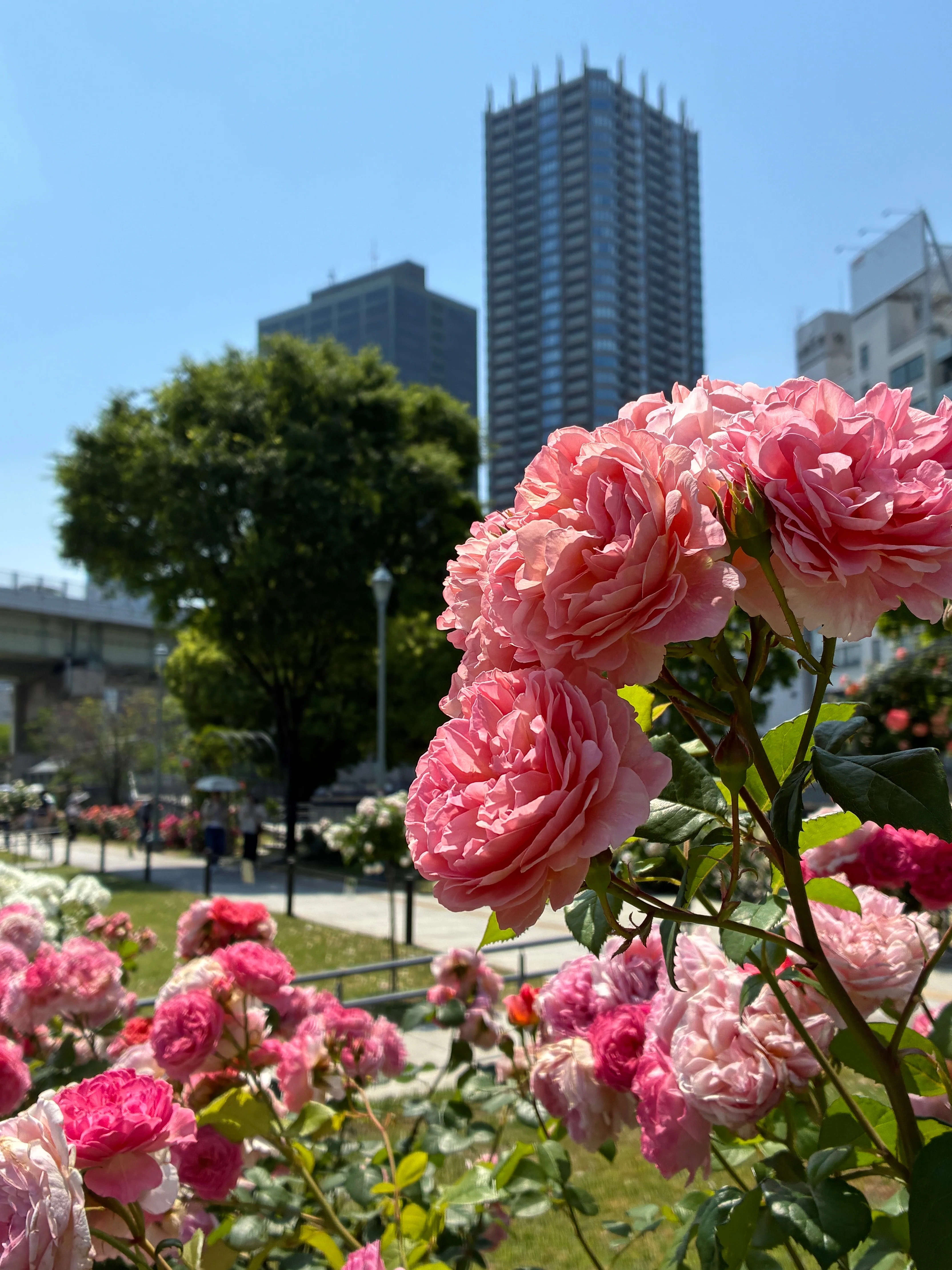今日はよ〜歩きました。｜kinta65