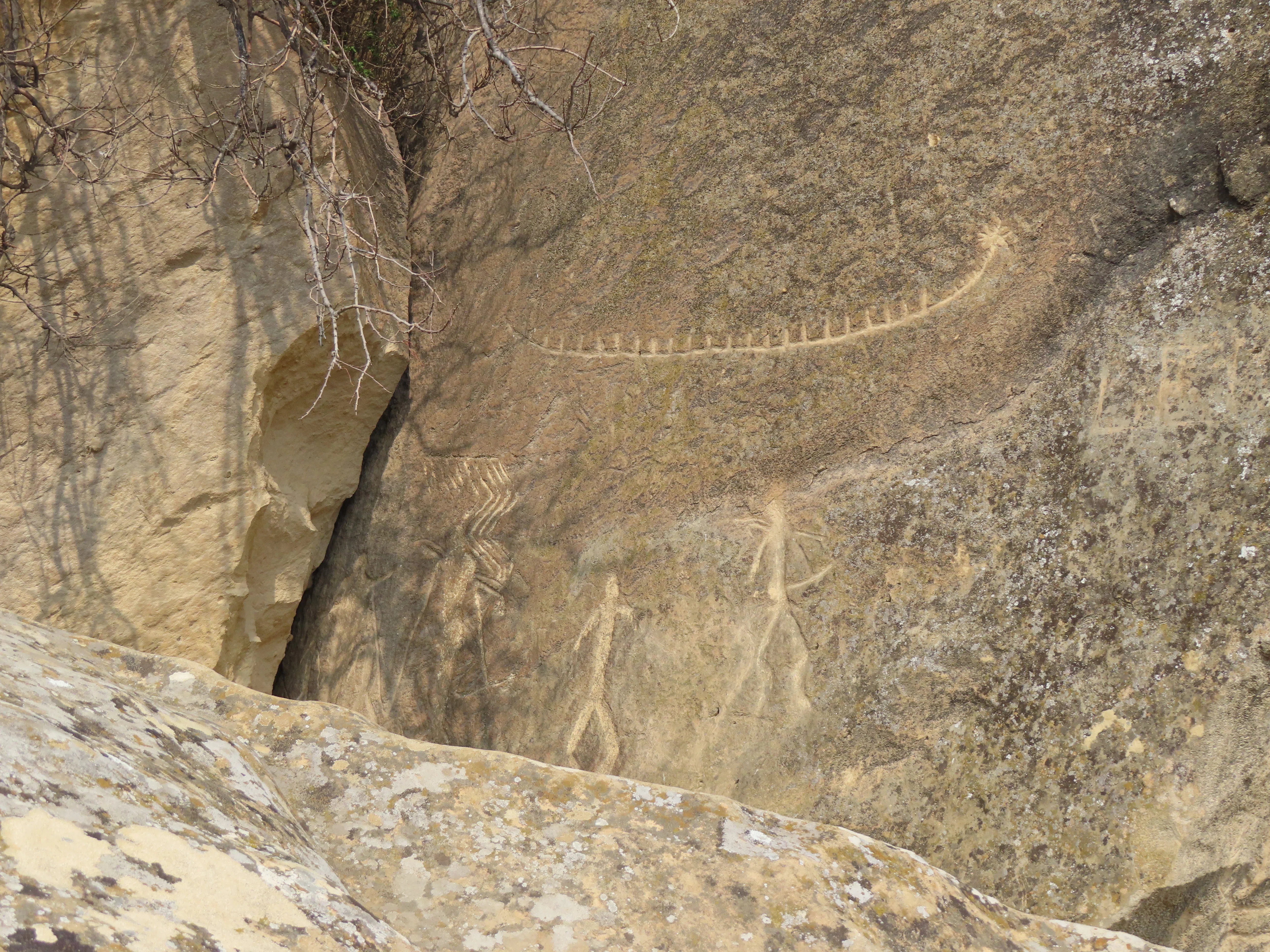 ゴブスタンの岩絵（アゼルバイジャン）（2023年）｜wanderer