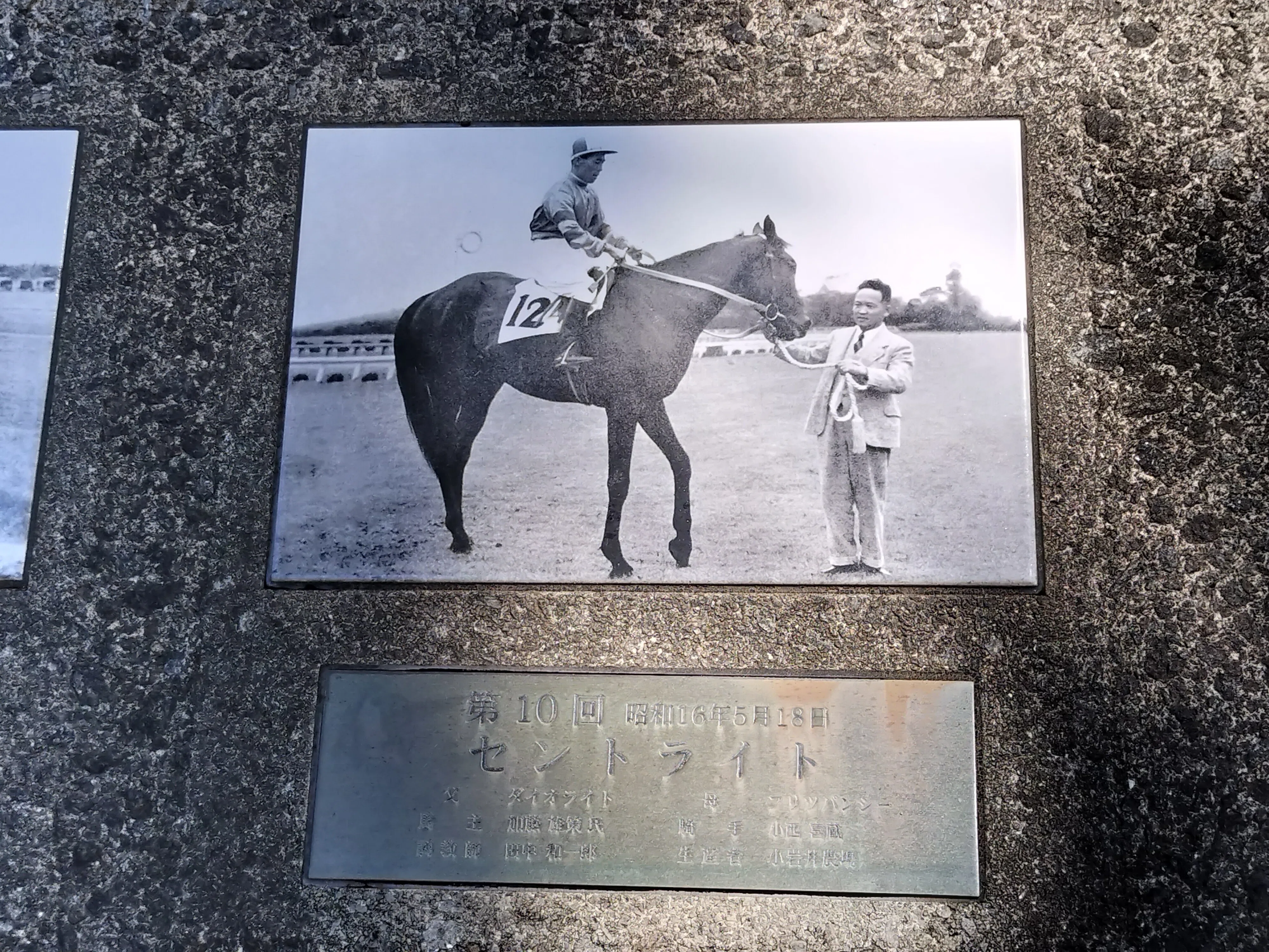 フレーム入り昭和の競馬の貴重な写真 7年ぶりに競馬場行った話｜ちゃんみう