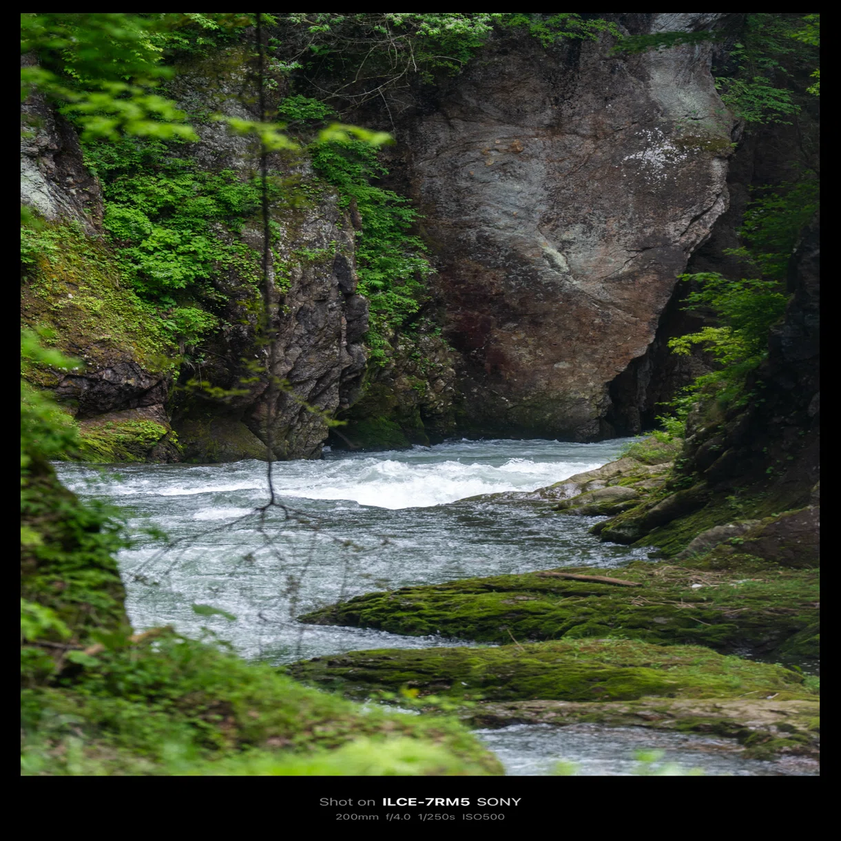 吹割の滝 / Fukiware Falls【2026】(Gunma, Japan)｜N.Hagimoto