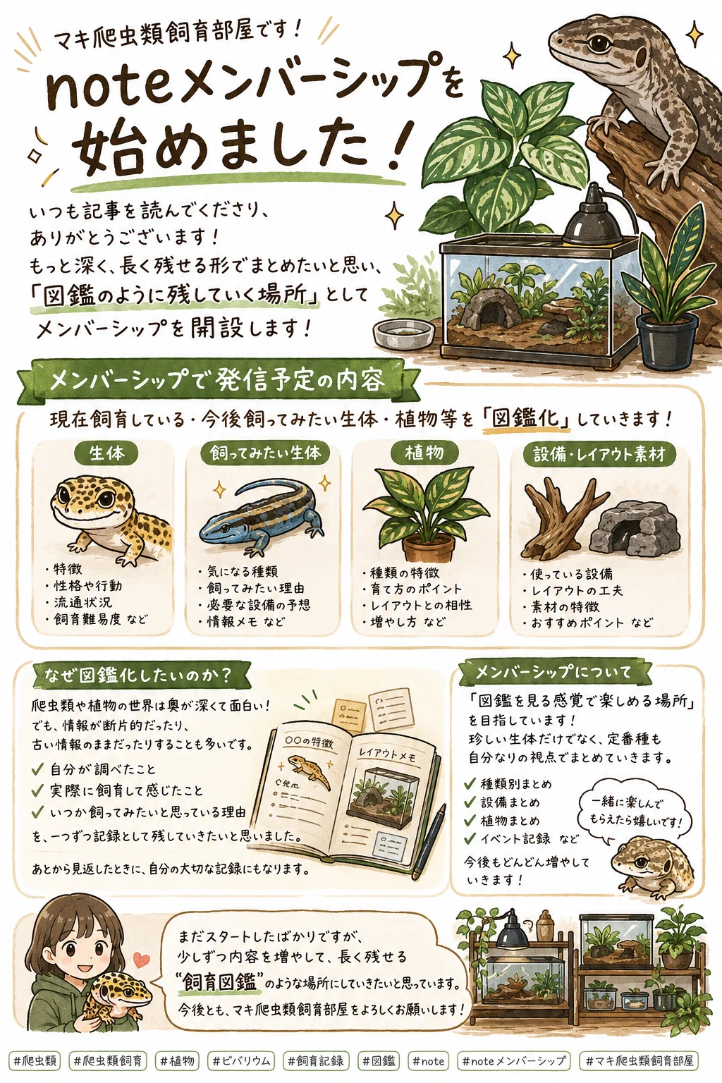 爬虫類飼育6点セット 説明書つき 【公式通販】